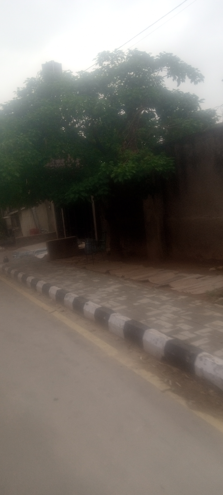 The image shows a street in Unguwar Rimi, Nigeria. The scene is overcast, possibly foggy or hazy, with limited visibility. A large tree dominates the background, partially obscuring a building behind it. A water tank is visible among the upper branches of the tree. The sidewalk is paved with square stones and bordered by alternating black and white painted curbs. The street is mostly empty.