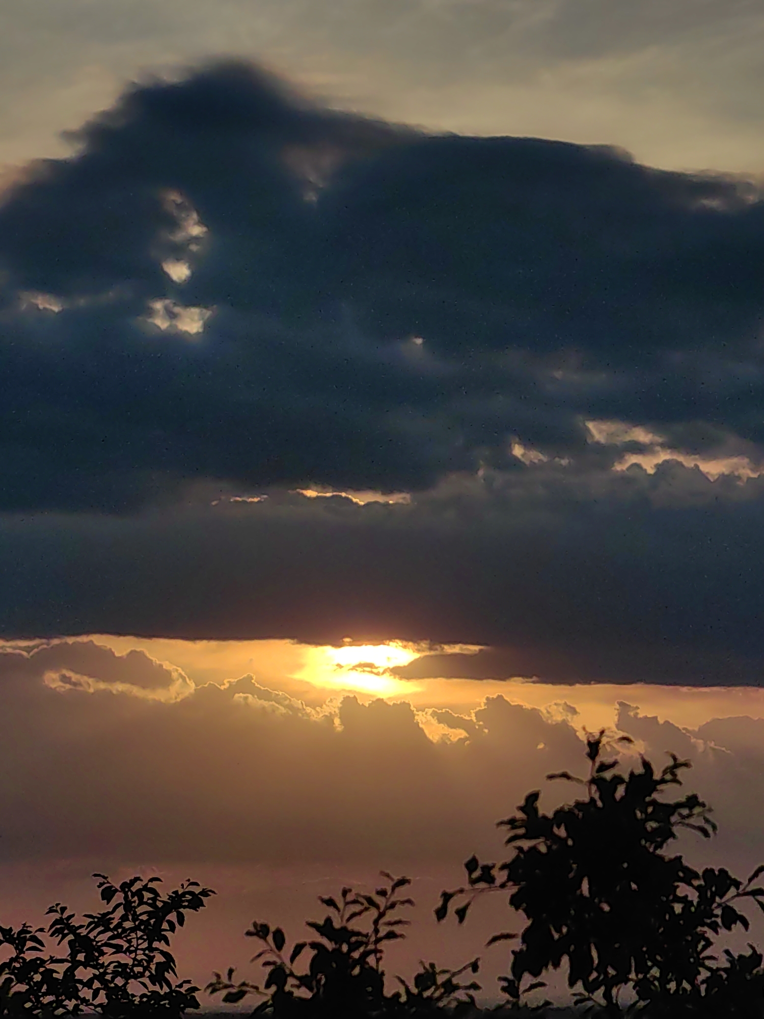 The image captures a dramatic sunset or sunrise over an unspecified landscape in Unknown, Unknown. The upper third of the frame is dominated by a sprawling mass of dark, dense, grey-blue clouds. Within this darker cloud mass, particularly in the upper-left-mid section, brighter, illuminated cloud formations create a pareidolic resemblance to an elongated face or figure. A prominent horizontal band of brilliant golden-orange light cuts across the middle of the frame, indicating the position of the sun, which appears as an intensely bright, partially obscured white light source behind a cloud layer. Below this radiant band, lighter clouds glow with warm orange, yellow, and peach tones, exhibiting more defined edges. The lower portion of the image features the silhouetted branches and leaves of unidentified vegetation, appearing completely dark against the vibrant, warm hues of the sky directly behind them. Small, bright specks are visible across the entire image, particularly against the darker cloud regions.