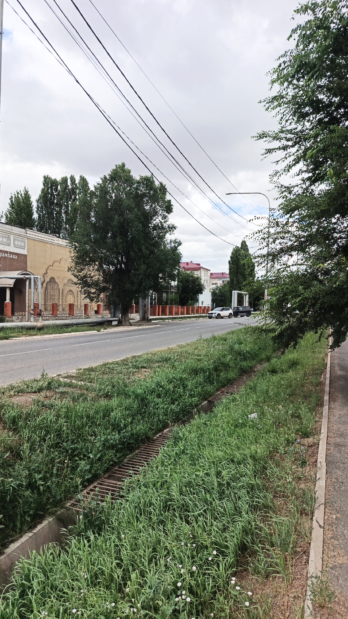 The image depicts a street scene in Aksay, Kazakhstan. The foreground features a concrete sidewalk bordering a grassy area with a drainage grate. Beyond the grass is a paved road with two lanes of traffic. On the left side of the road, a light-colored building with decorative arches and columns is visible, with the word "АРАМХАНА" partially visible on it. Several tall trees line the street between the building and the road. Further down the road, two white cars and a dark-colored SUV are parked. In the background, more buildings and trees are present under a cloudy sky. Overhead, several power lines stretch across the frame. The overall impression is of a moderately urban environment with a mix of commercial buildings, residential structures, and green spaces.