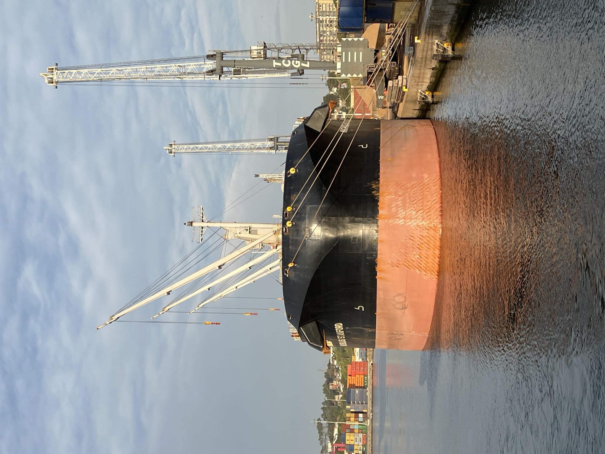 The image shows a large cargo ship, the "NICHOLAS STANFORD", docked in the Port of Leixões, Matosinhos, Portugal. The ship's bow is prominently featured, with its black hull and orange antifouling paint visible above the waterline. The vessel is secured at a quay, with industrial cranes of the T.C.G.L. company towering behind it.
In the background, stacks of colorful shipping containers are visible on the shore, indicating port activity. The sky is partly cloudy, with soft daylight illuminating the scene. The water in the harbor is calm, reflecting the ship and the surrounding structures. The overall impression is one of a working port, with large-scale maritime operations in progress.
