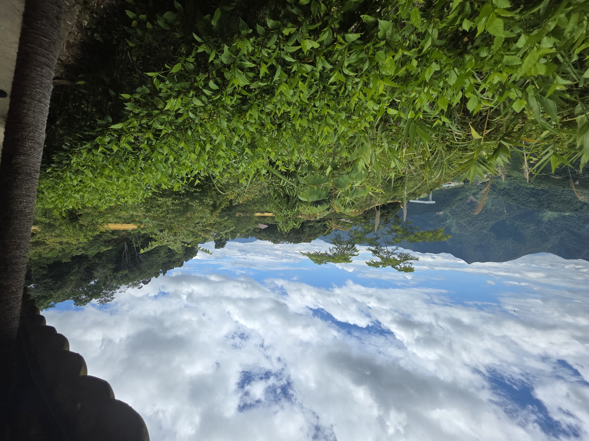 The image captures a lush, green mountain landscape under a sky filled with dramatic white clouds and patches of blue. In the foreground, dense foliage of various shades of green creates a natural barrier, obscuring much of the lower portion of the scene. The foliage appears to be a mix of leafy bushes and taller grasses, suggesting a semi-wild or natural environment.
Beyond the immediate greenery, the landscape unfolds into rolling hills covered in dense forest. The mountains recede into the distance, their slopes covered in a uniform green carpet of trees. A light-colored structure, possibly a bridge or a building with a prominent support, is visible in the mid-ground, nestled within the valley between the hills.
The sky is a prominent feature, with large, fluffy cumulus clouds casting shadows and creating a dynamic play of light and shade across the mountains. A few smaller, wispy clouds are also present, adding to the texture of the sky.
On the far right of the image, a section of a dark, textured surface is visible, likely part of a man-made structure such as a wooden beam or a rough-hewn pillar, suggesting the viewpoint is from a covered area or balcony.
Based on the lush, mountainous terrain and the presence of a structure that could be part of infrastructure like a bridge (which is characteristic of mountainous regions), this scene is consistent with the mountainous areas surrounding Đà Nẵng, Vietnam, such as the Hai Van Pass or other elevated scenic spots where such landscapes are common. The presence of dense vegetation and cloud formations are typical of the region's tropical climate. There are no people or animals clearly visible in the frame.