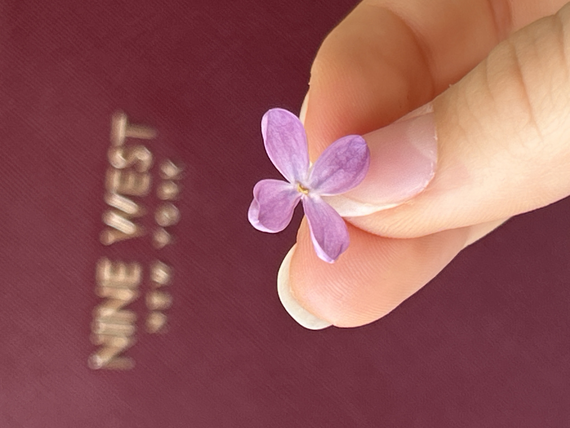 A close-up image shows a hand holding a small, four-petal purple flower against a burgundy background. The background has the words "NINE WEST" embossed on it in gold or silver lettering. The focus is sharpest on the flower and hand, while the lettering is slightly blurred. The flower is positioned between the thumb and forefinger of the hand. No city location is discernible.