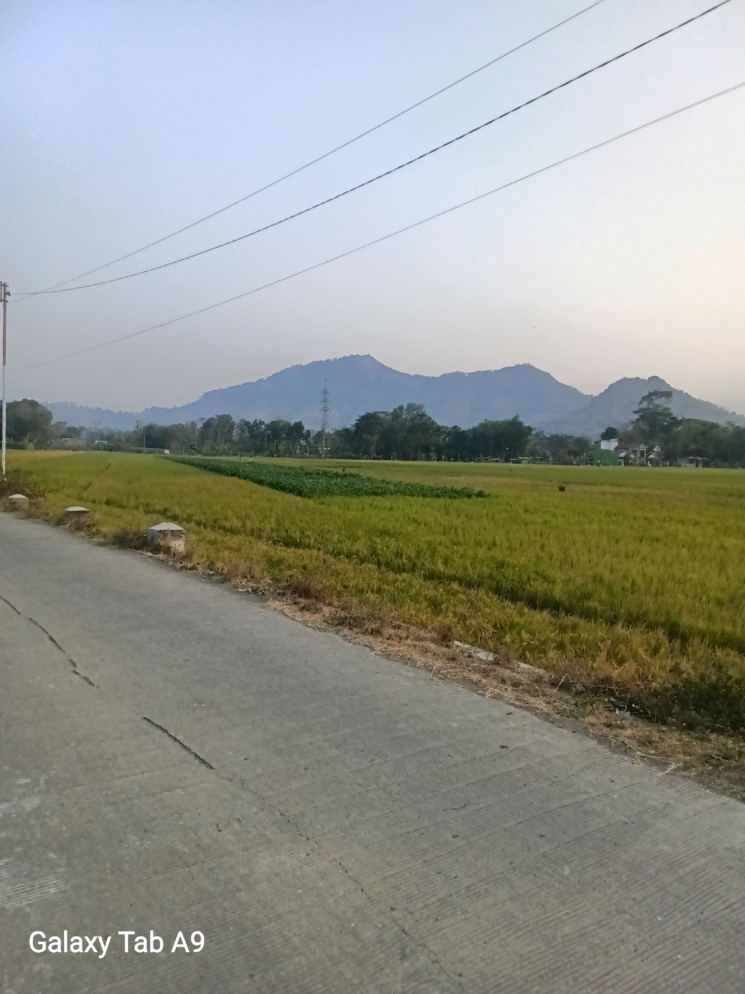 A rural landscape is depicted, featuring a paved road in the foreground that curves to the right. To the left of the road, several cylindrical concrete posts are visible, some capped with smaller square blocks, lining the edge. Beyond these posts, a field of green and golden crops, possibly rice paddies, stretches into the midground. The field is bordered by a line of trees, and further in the distance, a power transmission tower is situated. A row of hazy, layered mountains forms the backdrop, under a pale sky. The lower left corner of the image displays the text "Galaxy Tab A9".