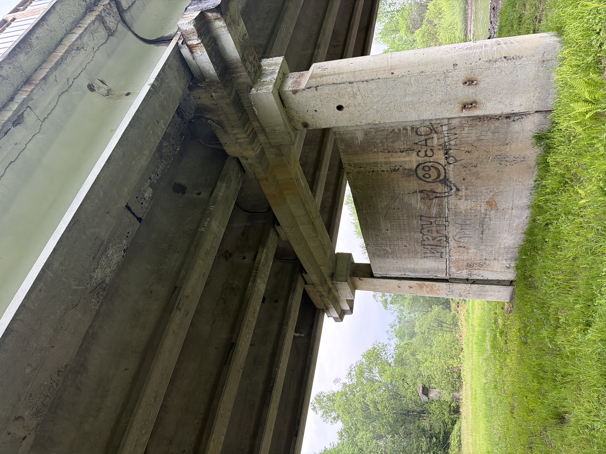 A low-angle perspective shows the underside of a concrete bridge structure, with visible supports and graffiti on a vertical pillar. Lush green grass covers the ground on the right, transitioning to trees and a cloudy sky in the background. The setting appears to be outdoors and natural. No people or animals are visible. There is no evidence in the image to suggest its location within the city of Trek, Russia. The description provides details of structural elements, vegetative surroundings, and atmospheric conditions, focusing on tangible elements.