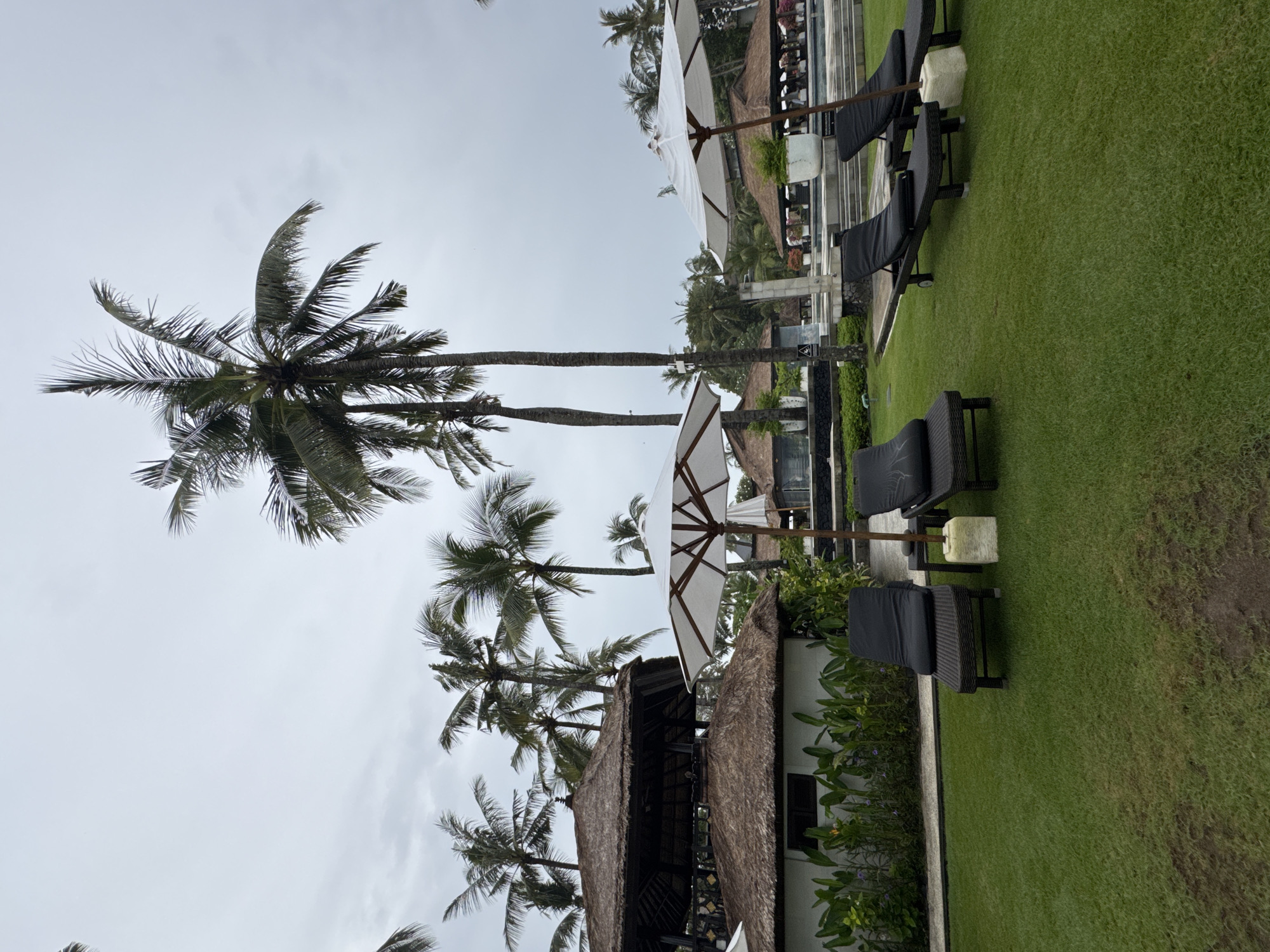 An outdoor scene in Kuta Selatan, Indonesia, features a resort or hotel ambiance under an overcast sky. The setting is dominated by numerous tall palm trees with lush green fronds, visible against the light grey, cloudy sky. A manicured green lawn extends across the foreground and midground.
Scattered on the grass and near the poolside are several black or dark-colored lounge chairs and daybeds, some accompanied by small, light-colored side tables or footrests. White outdoor umbrellas provide shade, positioned strategically near the seating areas. To the left, parts of buildings with traditional thatched roofs are visible, one featuring a white wall adorned with green foliage. In the distant background, what appears to be a swimming pool area with further lounge seating can be glimpsed.
No people are present, suggesting a quiet moment or an area awaiting guests. The scene evokes a sense of tropical relaxation and tranquility. The overcast weather indicates a muted daytime, possibly a cloudy day common in tropical regions. There is no visible text in the image.