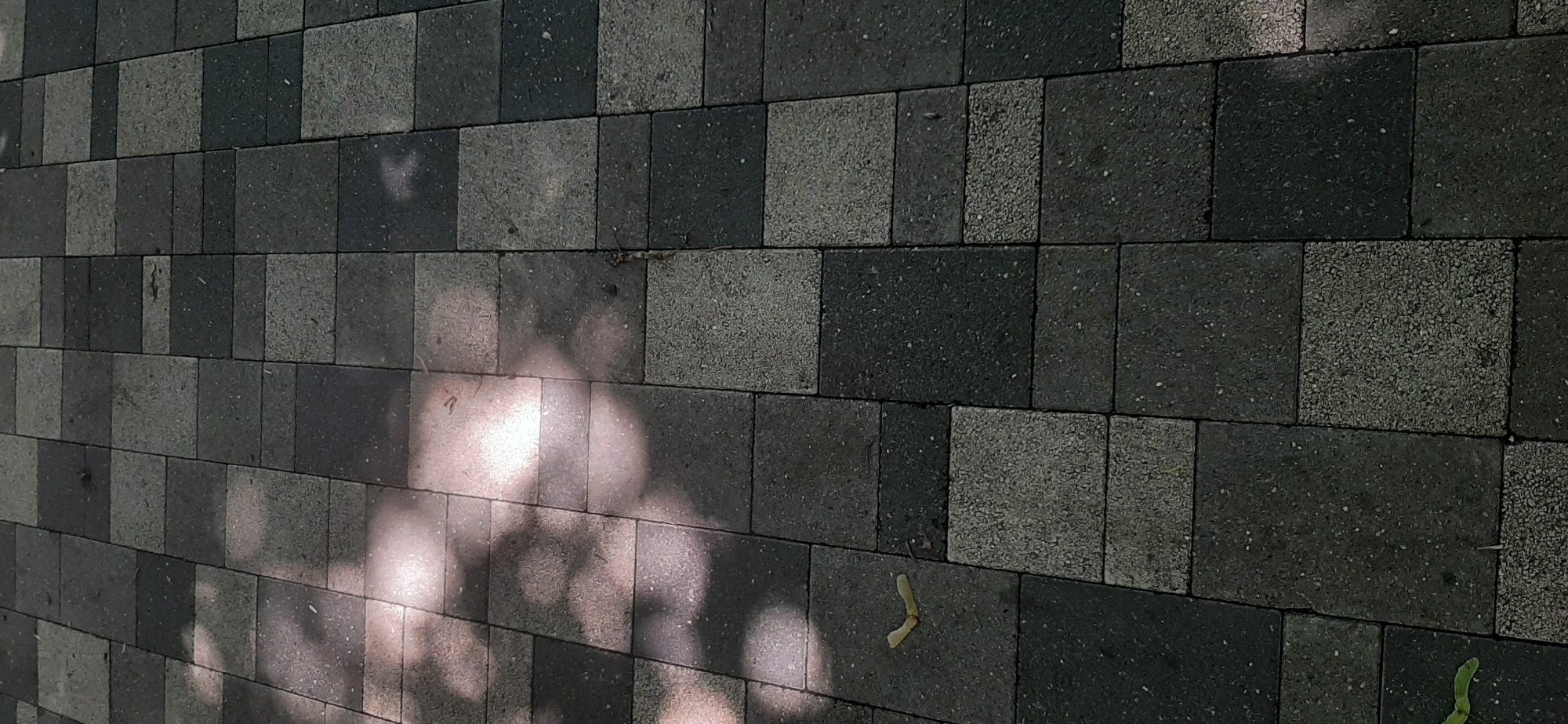 The image shows a close-up view of a patterned stone pathway in Yessentukskaya, Russia. The stones are rectangular and arranged in a grid with alternating colors of dark gray and lighter gray. Sunlight casts dappled shadows on the pathway, suggesting it is outdoors. There are a few small pieces of debris, such as leaves or twigs, scattered on the stones. The scene is static and devoid of human activity. The overall impression is one of an ordinary, well-maintained outdoor walkway.