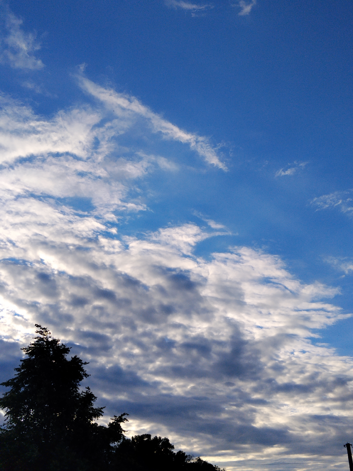 This is a photograph of the sky above Ustyvytsia, Ukraine. The sky is a vibrant blue, with scattered white and grey clouds. The clouds are varied in appearance, with some appearing wispy and thin, while others are more dense and textured. In the foreground, the dark silhouettes of trees are visible against the sky. One large tree with a full canopy dominates the left side of the frame, while smaller trees and foliage extend across the bottom. The overall impression is of a late afternoon or early evening sky, with the sunlight filtering through the clouds and casting shadows. A solitary electrical pole is visible on the far right edge of the image.