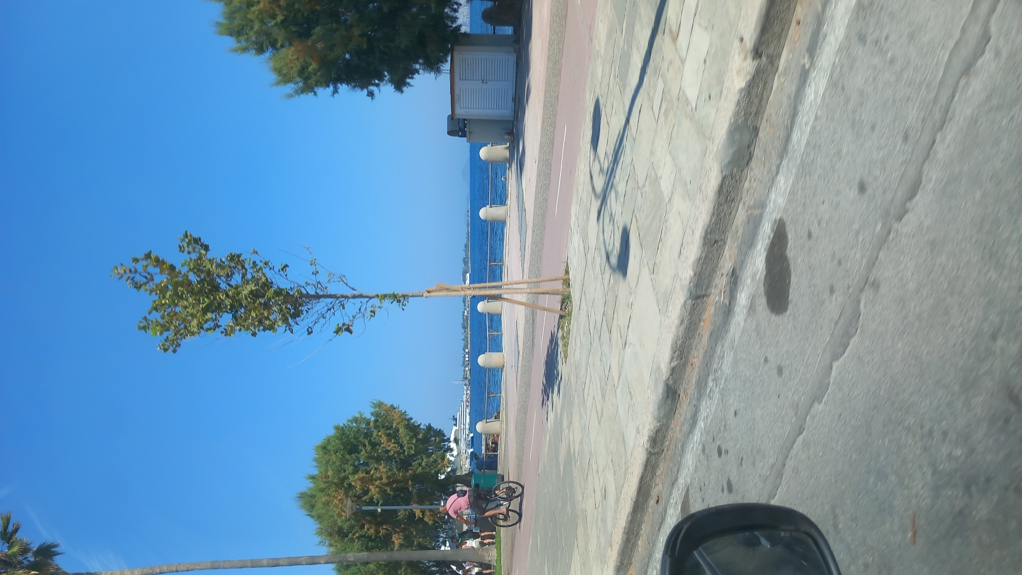 The image shows a sunny day scene in the city of Kos, Greece, likely along the waterfront promenade. A man is seen cycling on a paved path, wearing a pink t-shirt and dark shorts. He is positioned to the left of a slender tree that has been staked with wooden poles for support. The path is bordered by a sidewalk with paving stones and a low concrete curb. Beyond the path is a body of water, the Aegean Sea, with several boats visible in the distance, including a large white ferry or cruise ship. Along the waterfront, there are bollards and a small white building with double doors. The sky is a clear, vibrant blue. To the far left, a portion of a palm tree is visible, indicating a coastal, Mediterranean setting. The foreground shows a road with tire marks and a car's side mirror partially visible on the left.