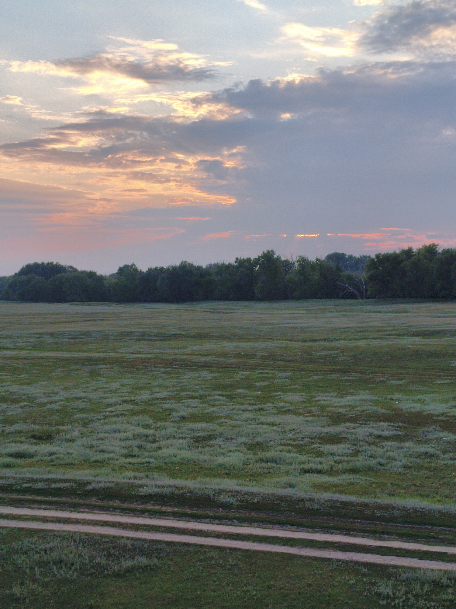 The image captures a serene landscape during what appears to be sunset or sunrise over the Ақсуат ауылдық округі in Kazakhstan. The sky is a canvas of soft colors, transitioning from pale blue at the top to hues of pink and orange, with scattered clouds that catch the light. Below the sky, a dense line of dark green trees forms a natural horizon. The foreground consists of a vast, open field covered in low-lying green vegetation, possibly grass or crops, interspersed with lighter-colored patches that could be flowering plants or dry grass. Two parallel dirt tracks, appearing as faint lines, traverse the field from the bottom left corner, indicating a path or road. The overall impression is one of natural beauty and tranquility.