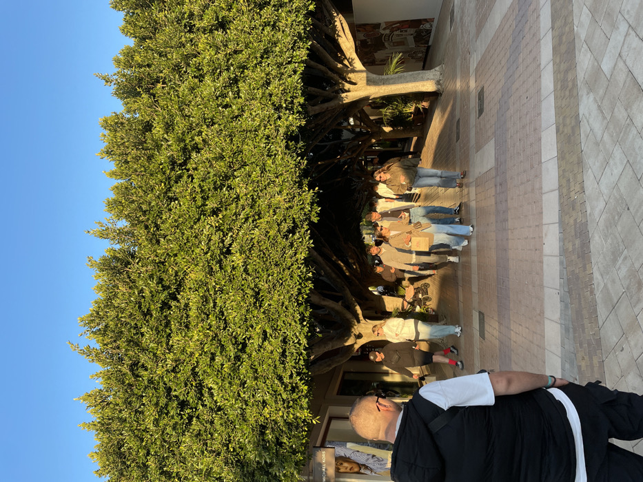 The image displays an outdoor pedestrian walkway in Marratxí, Spain, characterized by a dense, overarching canopy of green-leafed trees providing shade. Above the tree line, the sky is clear and blue. The ground is paved with light-colored, patterned tiles. The scene is illuminated by strong, warm late afternoon sunlight, casting distinct shadows.
In the foreground, a male subject, viewed from behind, wears a black puffer vest over a white t-shirt, dark trousers, and glasses. He is looking forward into the scene. In the midground, a group of approximately ten casually dressed adults, including one individual pushing a stroller, walk along the shaded path. A building facade partially visible on the left displays a "MICHAEL KORS" sign, indicating a commercial establishment. Additional commercial structures line both sides of the tree-lined thoroughfare. No specific interactions beyond collective movement are observable among the group.