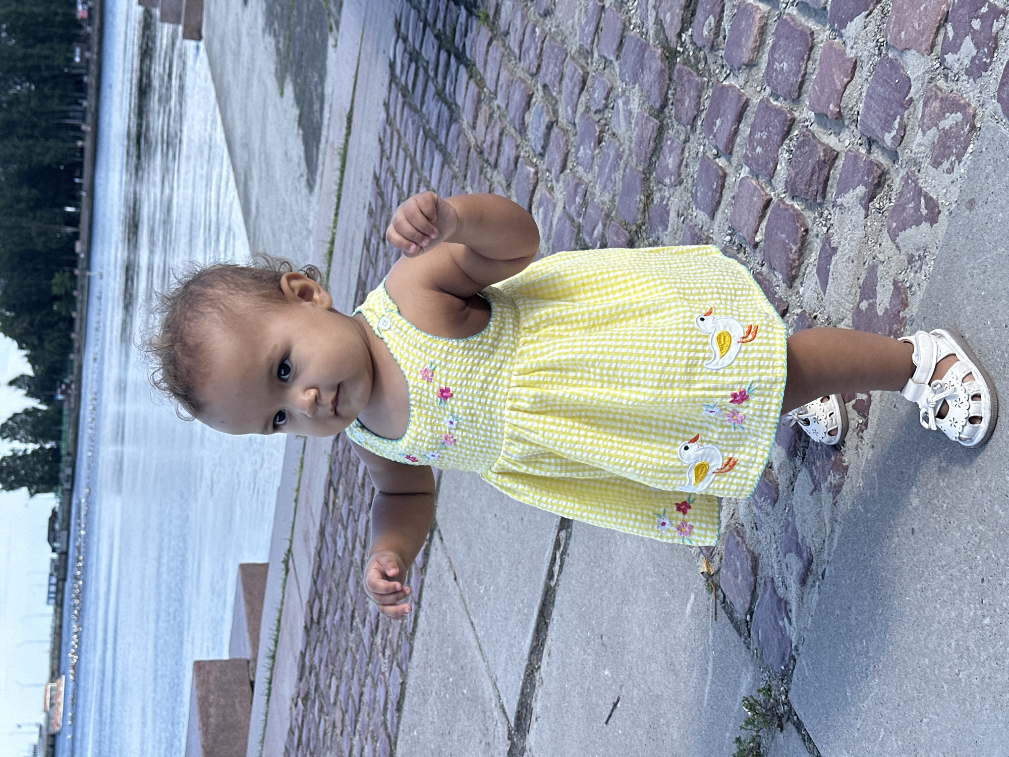 A young toddler, appearing to be of mixed ethnicity, stands on a paved walkway composed of large, irregular reddish-brown stones and concrete slabs. The toddler wears a bright yellow and white gingham dress adorned with embroidered flowers and a duck applique on the front. White sandals with cut-out floral patterns are on the toddler's feet. The toddler's arms are outstretched slightly, with the right hand in a fist.
Behind the toddler, a body of water, likely a lake or river, stretches into the distance. On the far bank, a dense line of green trees is visible against a hazy sky. In the background, a small orange and white boat with a cabin is partially visible on the water, and a flock of birds is scattered across the surface. The foreground shows the edge of the walkway leading down to the water, with some larger, dark reddish-brown stone blocks forming a step or retaining wall. The environment suggests an outdoor park or waterfront area within the city of Petrozavodsk, Russia, possibly along the Onega Lake embankment.