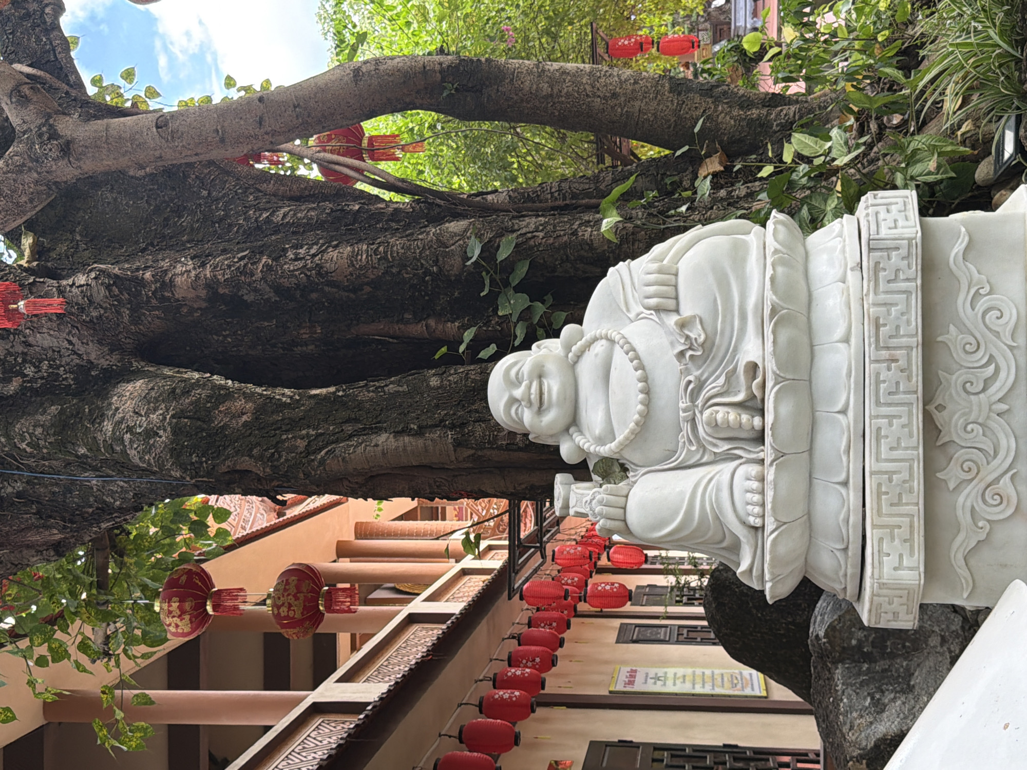 This is a vertical, medium-shot, outdoor photograph taken in Hoi An, Vietnam, focusing on a white marble statue of the laughing Buddha. The statue is seated on a lotus pedestal, which in turn rests on a larger, intricately carved white base. The Buddha statue is depicted with a jovial expression, a large belly, and is adorned with a beaded necklace. To the left of the statue, a large, dark boulder is visible. In the background, a large tree with a textured bark dominates the scene, with its branches reaching upwards. Red paper lanterns are hung from the branches of the tree and also from the eaves of a building visible to the left. The building has a light orange facade with white columns and patterned window frames. Green foliage and vines are present around the statue and the tree. The sky is partly cloudy, indicating an outdoor setting in a temperate climate. The overall scene conveys a sense of serenity and cultural ambiance typical of a Vietnamese temple or garden.