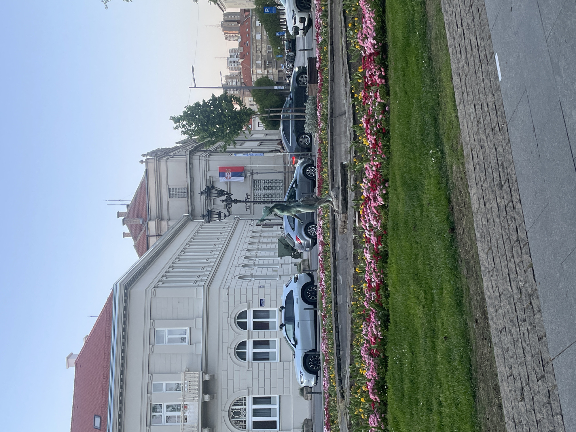 The image depicts a street scene in Novi Sad, Serbia, featuring a section of the park located near the city center. A long flower bed filled with pink and yellow blossoms lines the park's edge, followed by a strip of green grass that separates the flowerbed from the pavement. Parallel parked cars line the street next to the park, and buildings with architectural details, including white facades and arched windows, run along the street opposite the park. A statue can be seen in the foreground. The Serbian flag can be seen on one of the buildings.