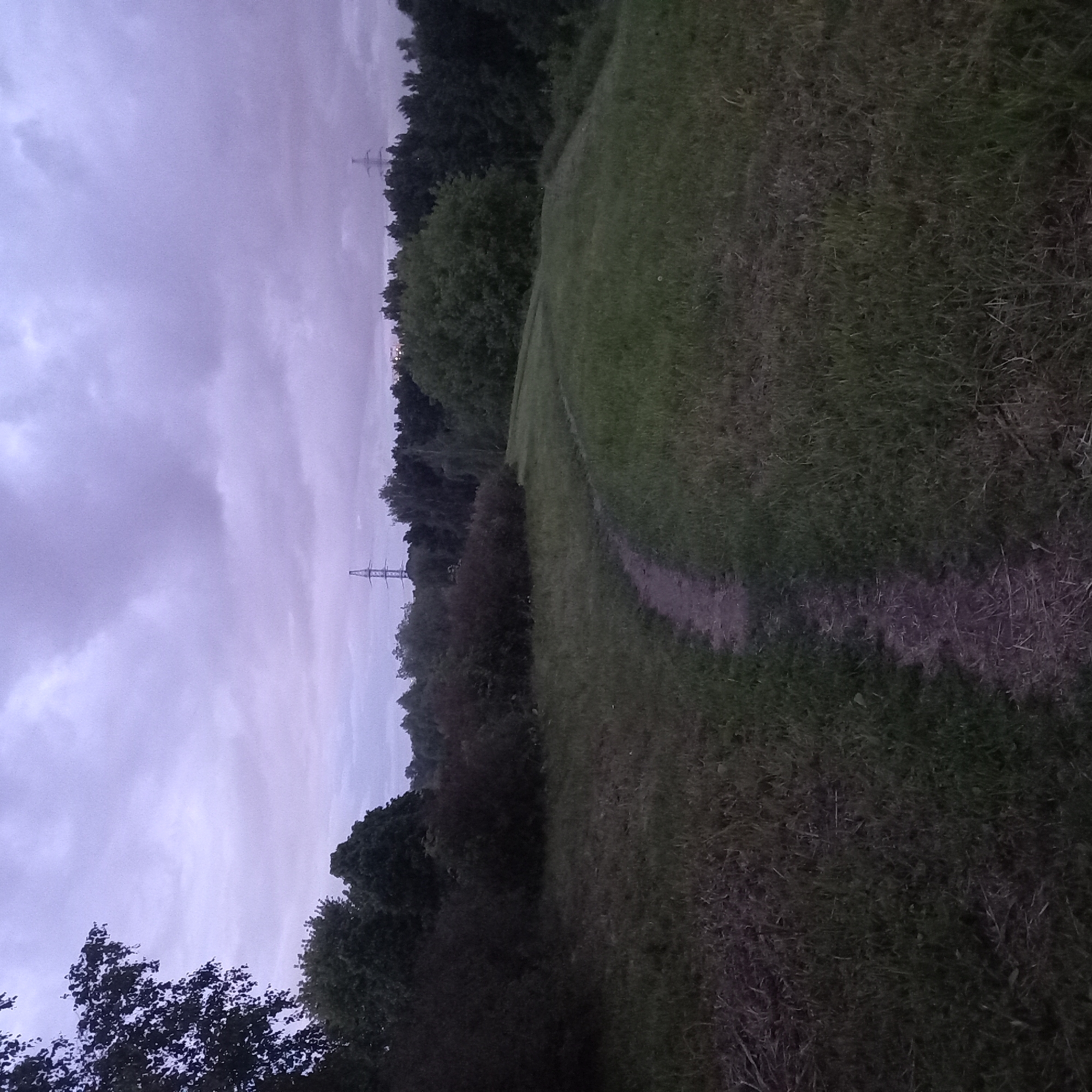 The image shows a grassy field in Moscow, Russia. A dirt path cuts through the field, leading toward a treeline. In the background, an electrical transmission tower is visible against a cloudy, dusk sky. No people or animals are apparent.