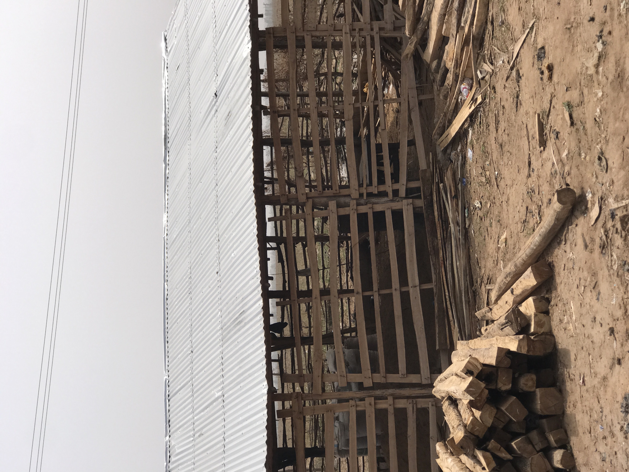 This media file, captured in Karshi, Nigeria, depicts an outdoor scene dominated by a large, utilitarian structure and a substantial woodpile.
The primary subject is a long, rectangular building, likely an animal pen or shed, located on the left side of the frame. It features a light-colored, corrugated metal roof and slatted wooden walls, allowing visibility into its interior. Within the slatted enclosure, a dark-colored animal, possibly a goat or sheep, can be discerned, along with other indistinct items like sacks or bundles. To the right of this structure, a sizable pile of cut timber, consisting of both rough-hewn logs and squared planks, rests on the ground.
The immediate surroundings consist of bare, dry earth, suggesting a dusty environment. Scattered debris, including small pieces of wood and a plastic bottle, are visible on the ground. In the upper left portion of the image, two thin power lines stretch across a bright, overcast sky.
No human activity is taking place. The scene suggests a storage or farming area, possibly for livestock and building materials or firewood.
The notable details include the bright, uniform sky, indicating an overcast day. The construction style of the building and the overall ground cover point to a rural or semi-rural setting. There is no visible text in the image.