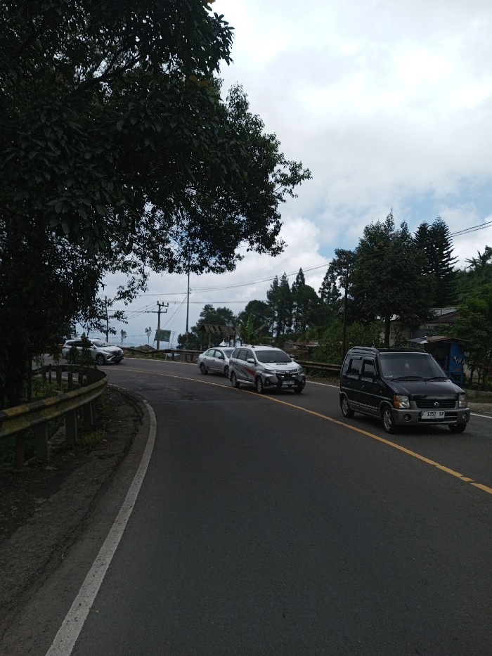 The scene depicts a multi-lane asphalt road curving to the left, under an overcast sky, in Boommlog, Bhutan. The road features a solid white line marking the left edge and double yellow lines indicating the center, separating traffic flow. No individuals are visible.
In the right lane, a black Suzuki Wagon R with the license plate "F 1352 BP" is in motion. Behind it, in the left lane, a white Toyota Avanza or Veloz, adorned with red and black side graphics, proceeds. Following the Avanza/Veloz is a silver sedan. Further down the curved road on the far left, a white SUV is also visible.
The immediate roadside on the left is bordered by a weathered yellow and black metal guardrail, above which dense, dark green foliage from large trees extends into the frame. In the mid-ground and background, utility poles with overhead lines are present. The broader environment consists of hills densely covered with a variety of trees, including conifers and deciduous species. Small, rudimentary structures are discernible amongst the trees on the right side of the background. The sky is largely overcast, displaying significant cloud cover with occasional patches of lighter sky.