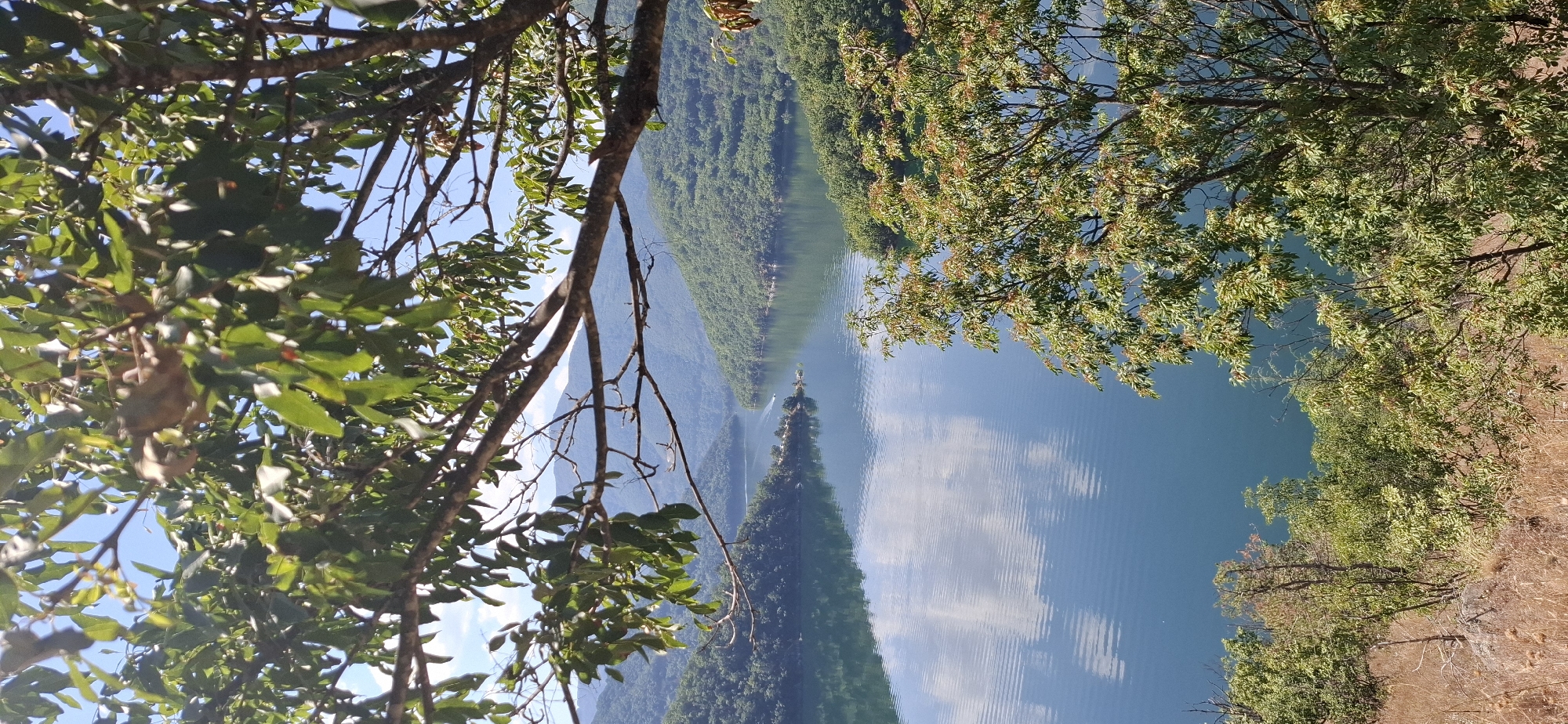 The image depicts a scenic view of a wide, calm body of water, likely a reservoir or lake, surrounded by lush, verdant hills and mountains. The water's surface reflects the sky and clouds, creating a serene, almost mirror-like effect. In the foreground, the branches of a leafy tree frame the scene, with its green leaves and branches obscuring parts of the view. Further back, the hills are covered in dense vegetation, with various shades of green indicating the thickness of the forests. The sky is a clear blue, with scattered white clouds. A small boat or vessel can be seen in the distance on the water, leaving a faint wake. The overall impression is one of natural beauty and tranquility. The location is identified as Mihalkovo, Bulgaria.