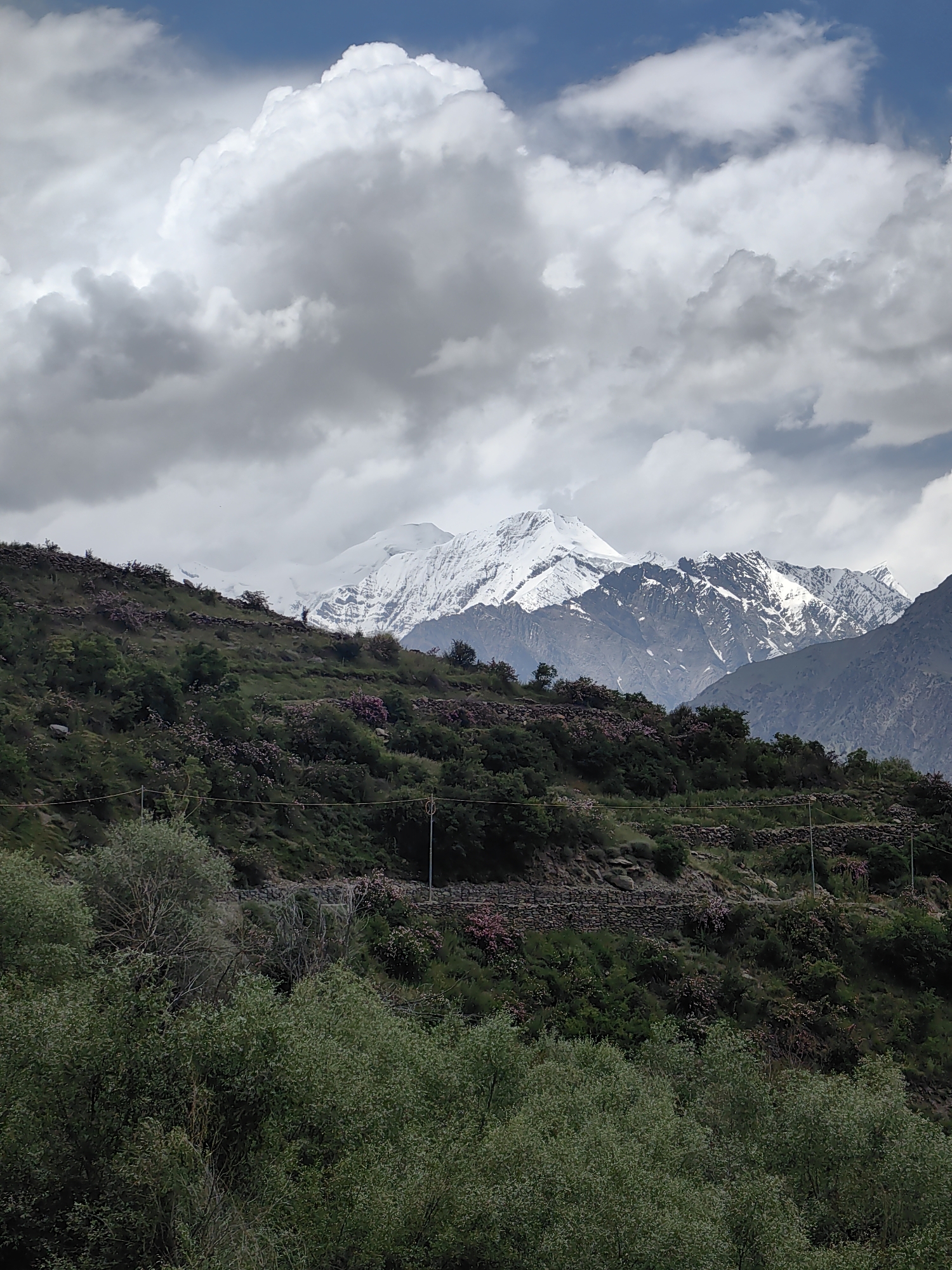 This image captures a majestic mountain landscape in Arat, India. The scene is dominated by a towering, snow-capped mountain range in the background, partially obscured by dramatic, heavy clouds. The sky is a mix of deep blue and turbulent grey, suggesting a dynamic weather system. In the foreground, a lush green hillside slopes upwards, dotted with vegetation and small, pink flowering bushes. Stone walls are visible, creating terraces on the hillside, hinting at human presence and cultivation. Power lines crisscross the scene, indicating a settled area despite the wild natural beauty. The overall impression is one of raw, natural grandeur, with a sense of remoteness and the power of nature evident in the dramatic clouds and imposing mountains. The time of day appears to be overcast, likely late morning or afternoon, with the light diffused by the cloud cover. No text is visible in the image.