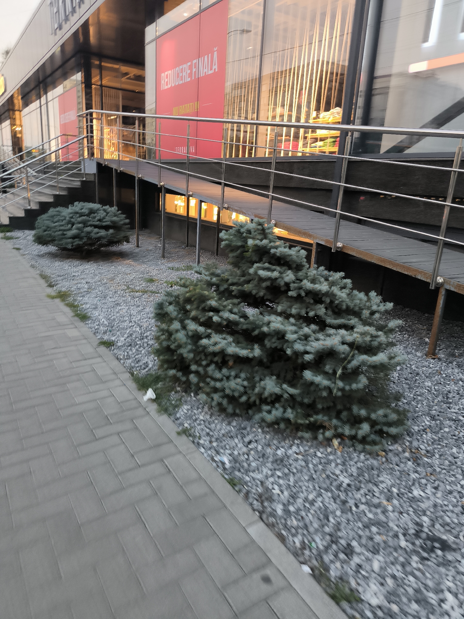 The image shows the exterior of a modern building with a large glass facade and a ramp leading up to it. The building has a sign that reads "REDUCERE FINALĂ" and "NU RATAȚI!". There are two small evergreen trees planted in gravel in front of the building, and a paved walkway in the foreground. The setting appears to be a commercial area. The architectural style suggests a modern shopping center or office building, and the sign's text, which is in Romanian and likely indicates a final sale or clearance, points to a retail establishment. The overall impression is one of a contemporary urban commercial space.