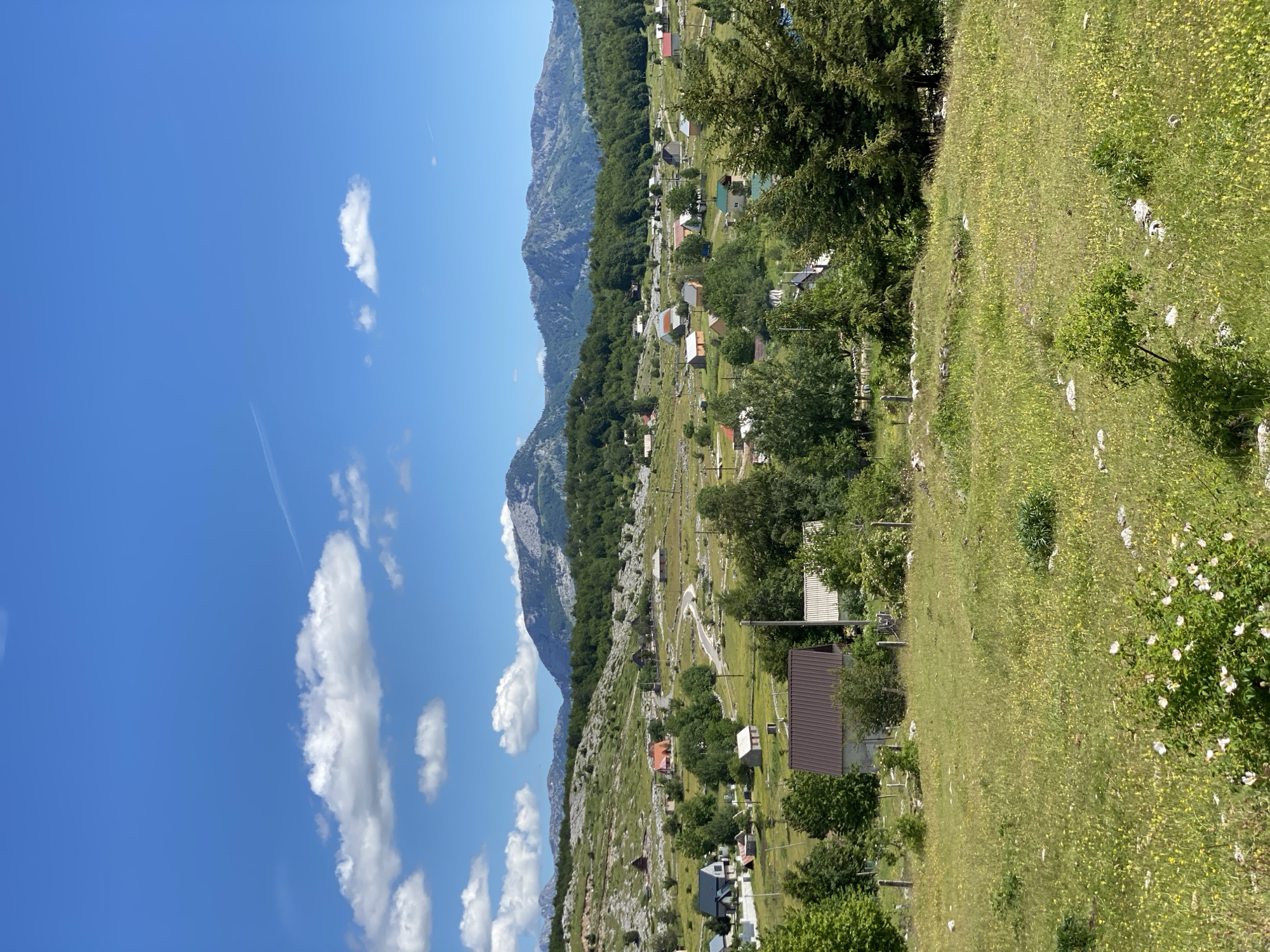 This is a landscape photograph of a rural village nestled in a valley. The scene depicts a bright, sunny day with a clear blue sky dotted with fluffy white clouds. In the foreground, a grassy meadow is covered in wildflowers, with a small bush bearing white flowers in the lower left corner.
The middle ground reveals a village with numerous houses, varying in size and architectural style, interspersed with trees. A winding road cuts through the village. The houses appear to be made of stone and wood, with some having red or brown roofs.
In the background, rolling hills covered with dense green forests rise up to meet a range of majestic mountains. The mountains have rocky, barren peaks and are partially covered in vegetation. The overall impression is one of a serene and picturesque natural setting. The location is identified as Korita, Montenegro. There are no people visible in the image.