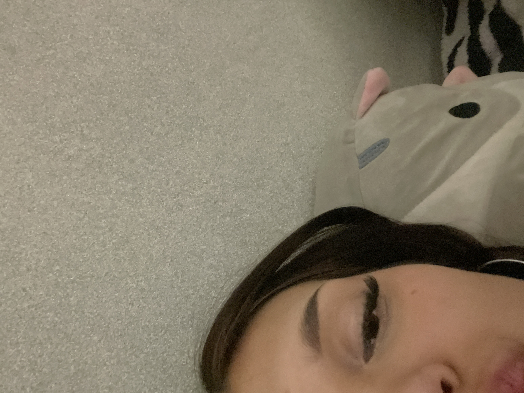 The image depicts a close-up view of a person's face lying next to a light gray stuffed animal. The person has dark hair and is viewed from a high angle. The stuffed animal has pink ears and a black eye. The background includes a textured gray surface and a black and white patterned object. The location is not identifiable from the image.
