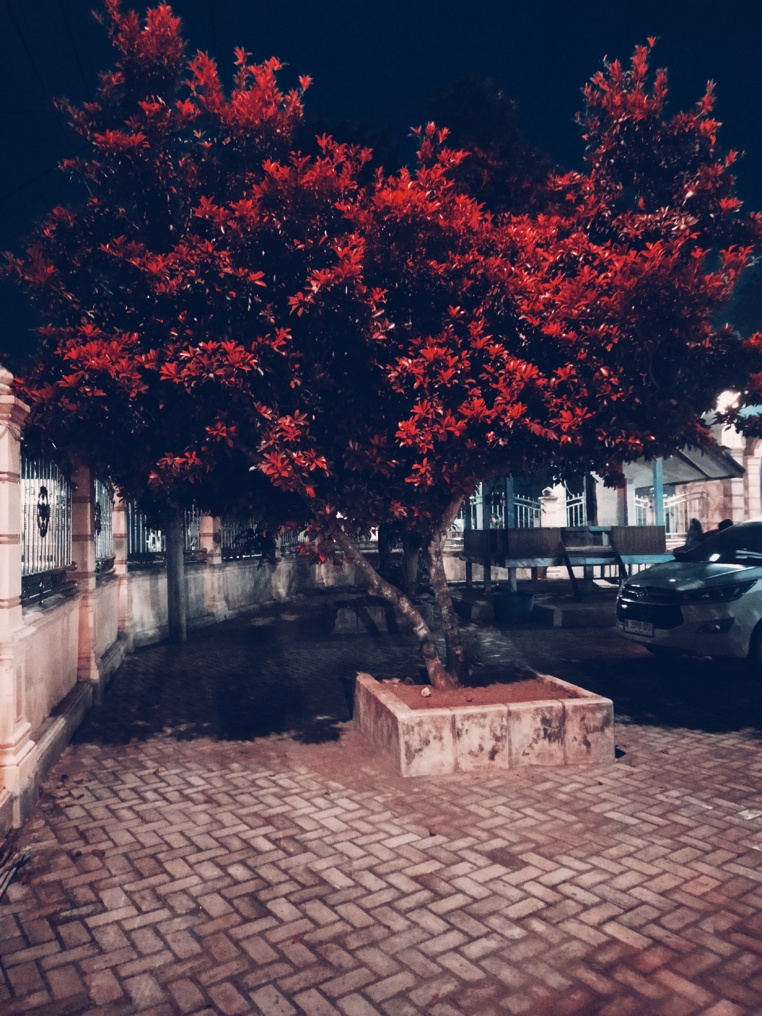 The image depicts a night scene in Meunasahlhok, Indonesia. A tree with red leaves stands prominently in a square concrete planter in the foreground. The ground is paved with interlocking bricks. A fence runs along the left side of the frame, while in the background, there is an open pavilion with benches. A white car is partially visible to the right of the tree. The sky is dark, suggesting it is late evening or night. No people are visible in the frame.