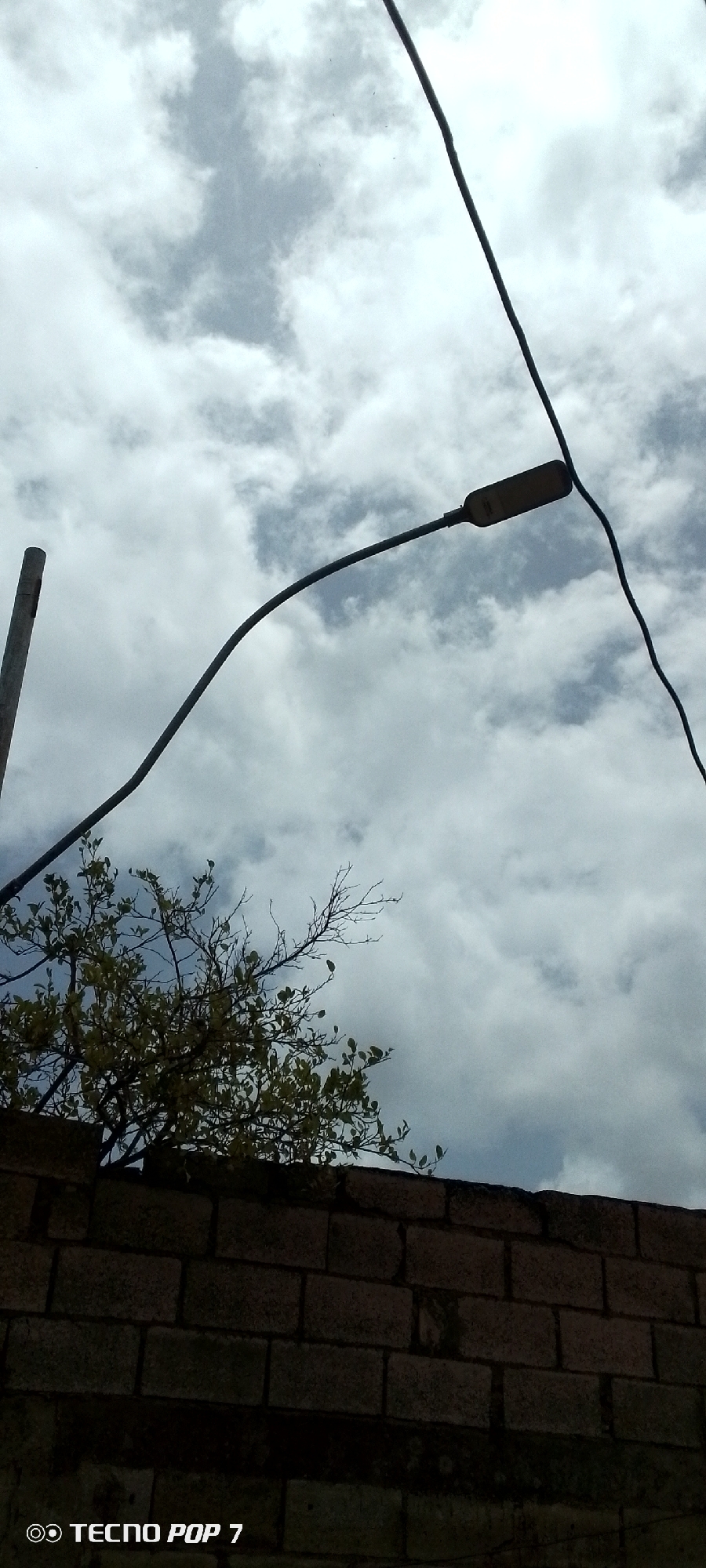 The image presents an upward perspective of an overcast sky in Altagracia, Venezuela, featuring elements of urban infrastructure and natural foliage. The sky dominates the upper two-thirds of the frame, filled with dense, white-grey clouds, suggesting a cloudy or potentially gloomy daytime.
Prominently featured are utility elements: a dark, curved street light arm extends from the mid-left towards the upper-middle, ending in an elongated street light fixture, all silhouetted against the bright sky. A thick, dark electrical wire runs diagonally from the top-right corner downwards, passing near the street light. On the far left, a portion of a vertical, dark utility pole is visible.
In the lower third of the image, a dark, rough brick wall spans horizontally. Above this wall, to the left of the street light, the branches of a tree or large bush are visible, characterized by both patches of green foliage with small leaves and several bare, thinner branches.
No people or animals are present, and no specific activity or event is taking place, depicting a static scene. The weather is clearly overcast, with no direct sunlight visible. The infrastructure elements suggest an urban or semi-urban setting.
In the bottom-left corner of the image, a visible text watermark reads "◎ TECNO POP 7".