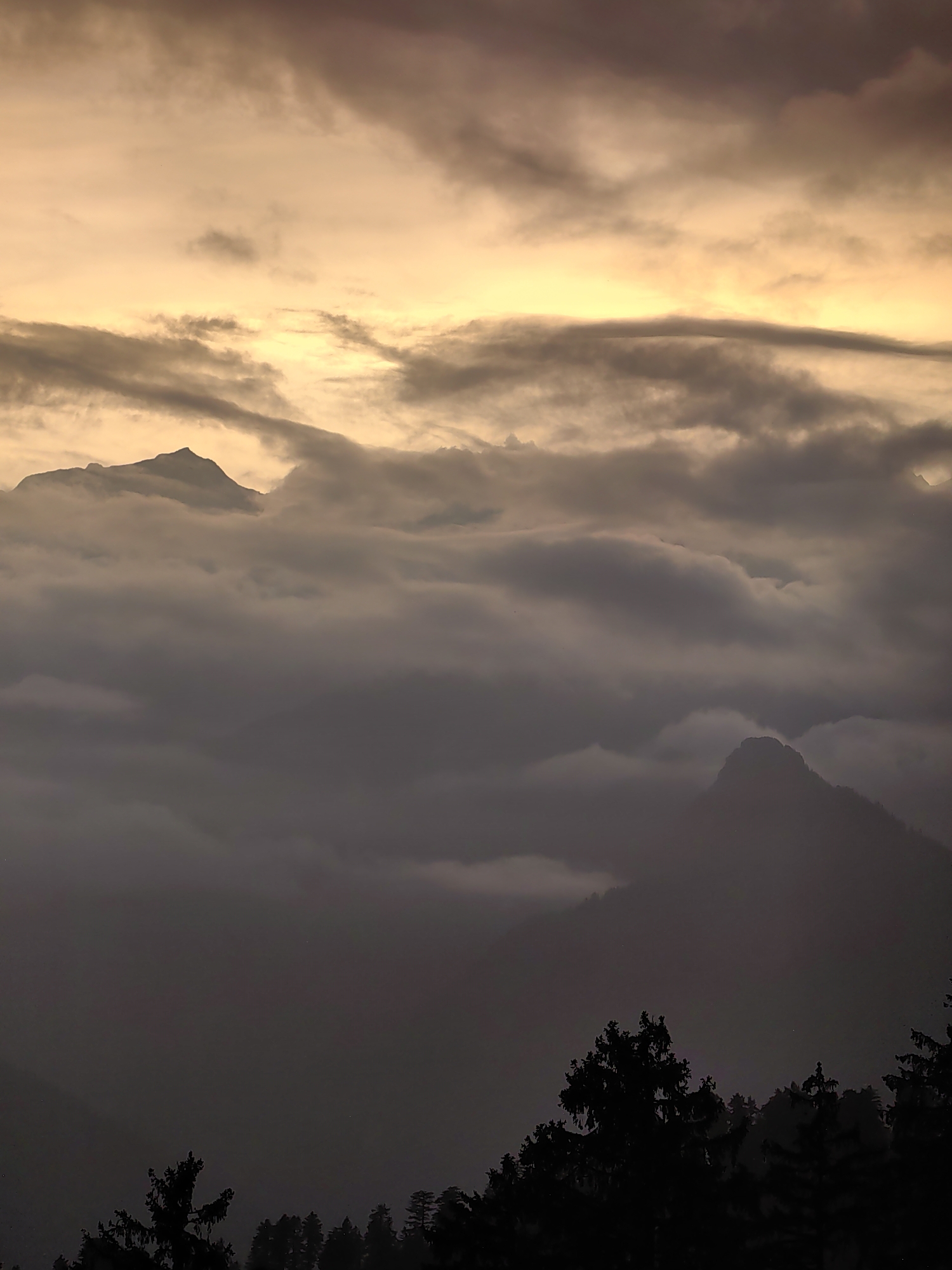 The image depicts a mountainous landscape shrouded in clouds at dusk or dawn. The sky is a gradient of warm, peachy tones at the top, transitioning to darker, more muted grays and purples lower down. Wispy, elongated clouds stretch across the horizon, some tinged with the golden light. In the mid-ground, several mountain peaks are visible, silhouetted against the cloudy sky and lower cloud formations. These peaks appear to be partially obscured by a dense layer of fog or low-lying clouds that blankets the valleys. The foreground is dominated by the dark silhouettes of pine trees, indicating a forested mountainous region. The overall mood is serene and somewhat dramatic due to the lighting and atmospheric conditions. The location is identified as Aleo, India.