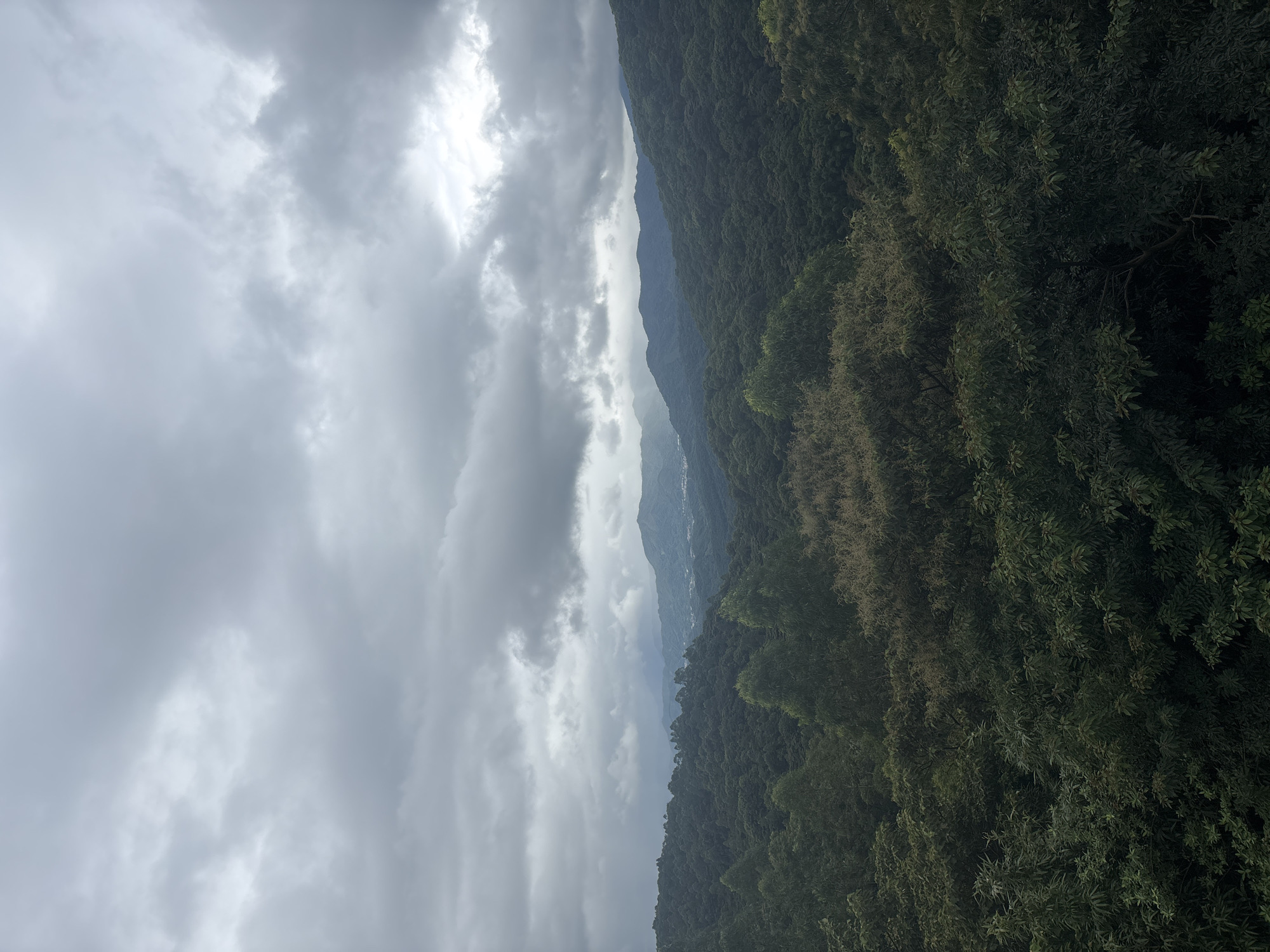 This image captures a panoramic view of a densely forested mountain range under a dramatic, overcast sky, characteristic of the temperate climate found in the northern mountainous regions of Guangzhou City, China. The foreground is dominated by the lush green canopy of various trees, with some lighter-colored foliage indicating flowering or fruiting trees. Further back, rolling hills covered in dense, dark green forest stretch into the distance. In the far background, a faint outline of distant mountains is visible, with hints of human settlement or a town nestled in the valleys, suggesting the proximity of civilization to this natural landscape. The sky is filled with heavy, grey clouds, creating a moody and somewhat somber atmosphere, hinting at the possibility of rain. There are no people or animals visible in the frame. The scene depicts a natural landscape, likely a protected area or a scenic viewpoint, within or on the outskirts of Guangzhou.