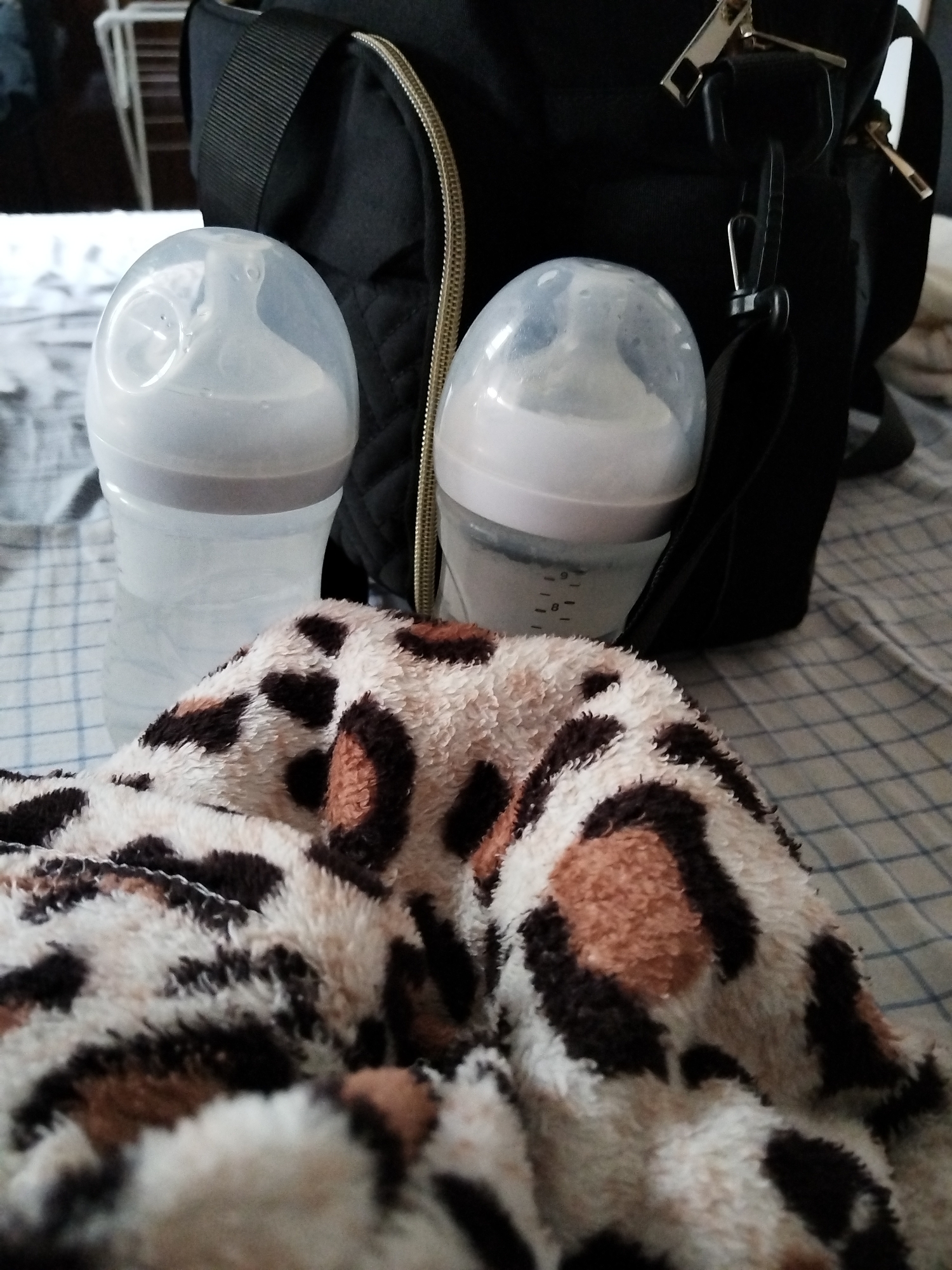 The image depicts a close-up view of two baby bottles positioned in front of a black diaper bag. A soft, leopard-print blanket partially obscures the lower portion of the bottles. The bottles appear to be filled with liquid. The diaper bag features a zippered closure and shoulder straps. The background shows a bed covered with a checkered sheet. The location is not specified.