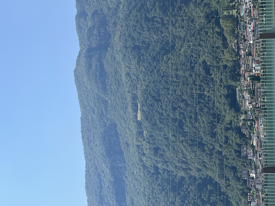 The image presents a panoramic view of a densely forested mountain and a town situated at its base, consistent with the city of Mendrisio, Switzerland. In the immediate foreground, a turquoise-colored barrier or railing composed of vertical slats extends horizontally across the lower portion of the frame. Directly above this barrier, six distinct horizontal wires, likely utility lines, traverse the image from left to right.
The midground reveals a compact cluster of buildings, characteristic of a town or village, nestled at the foot of the mountain. These structures exhibit varied architectural styles and roof colors, predominantly terracotta, interspersed with green trees.
The background is dominated by a large mountain, heavily covered with dense green foliage, indicating a forest. Patches of exposed rock or cliff faces are visible on the mountain's slopes. Approximately centered horizontally and midway up the mountain, a distinct, lighter green, oval-shaped clearing or meadow is discernible within the forest. The sky above the mountain is clear and light blue, indicating fair weather and daylight conditions. No human figures or discernible actions are present in the scene.