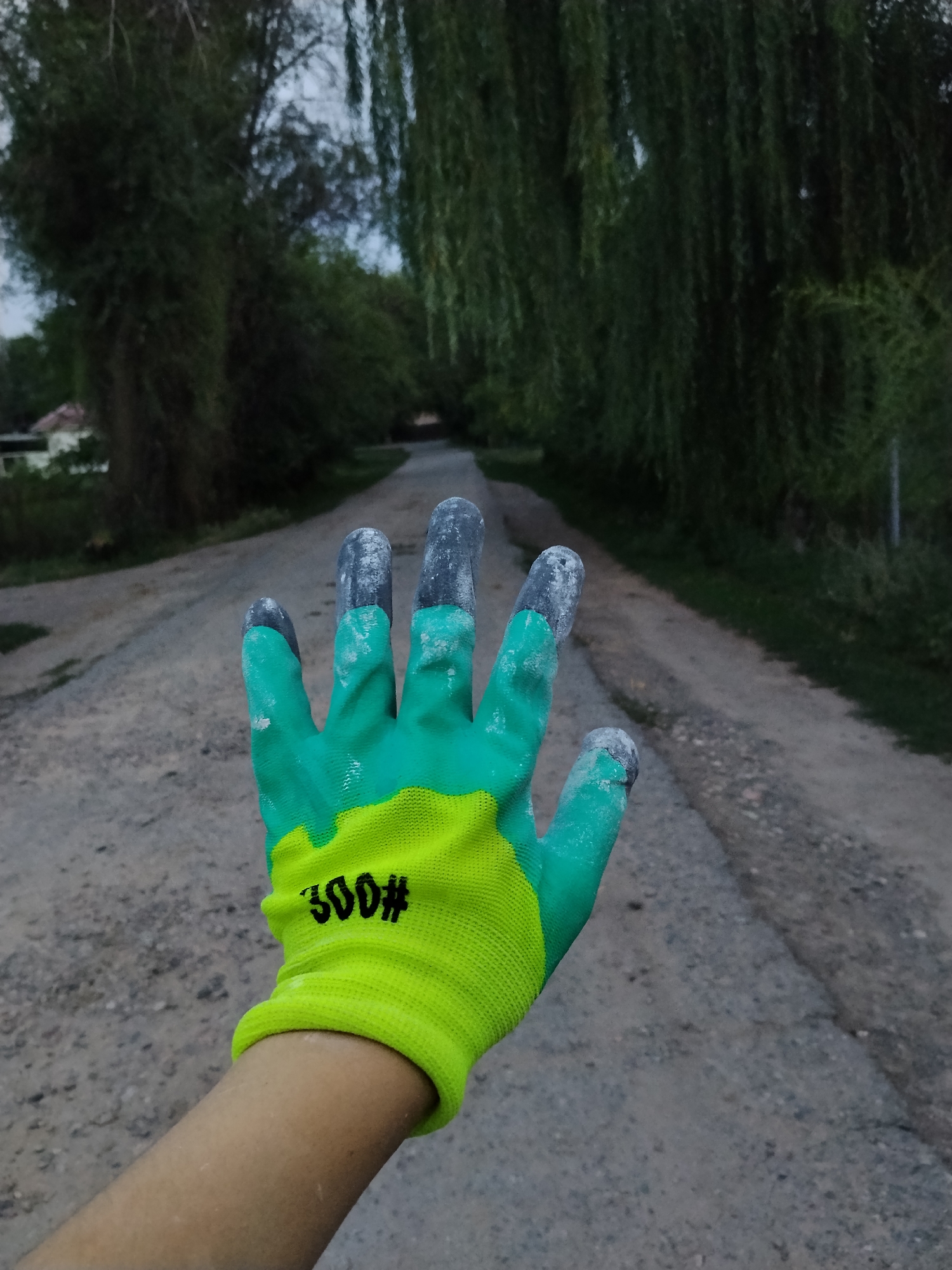 A hand wearing a green and yellow work glove, with the number "300#" printed on the yellow part, is held up in the foreground of a dirt road. The fingers of the glove are covered in white dust. The road stretches into the distance, lined by trees on either side. The sky is overcast and the lighting suggests it is dusk or dawn. The location is a rural road in the vicinity of Djany-Pahta, Kyrgyzstan.