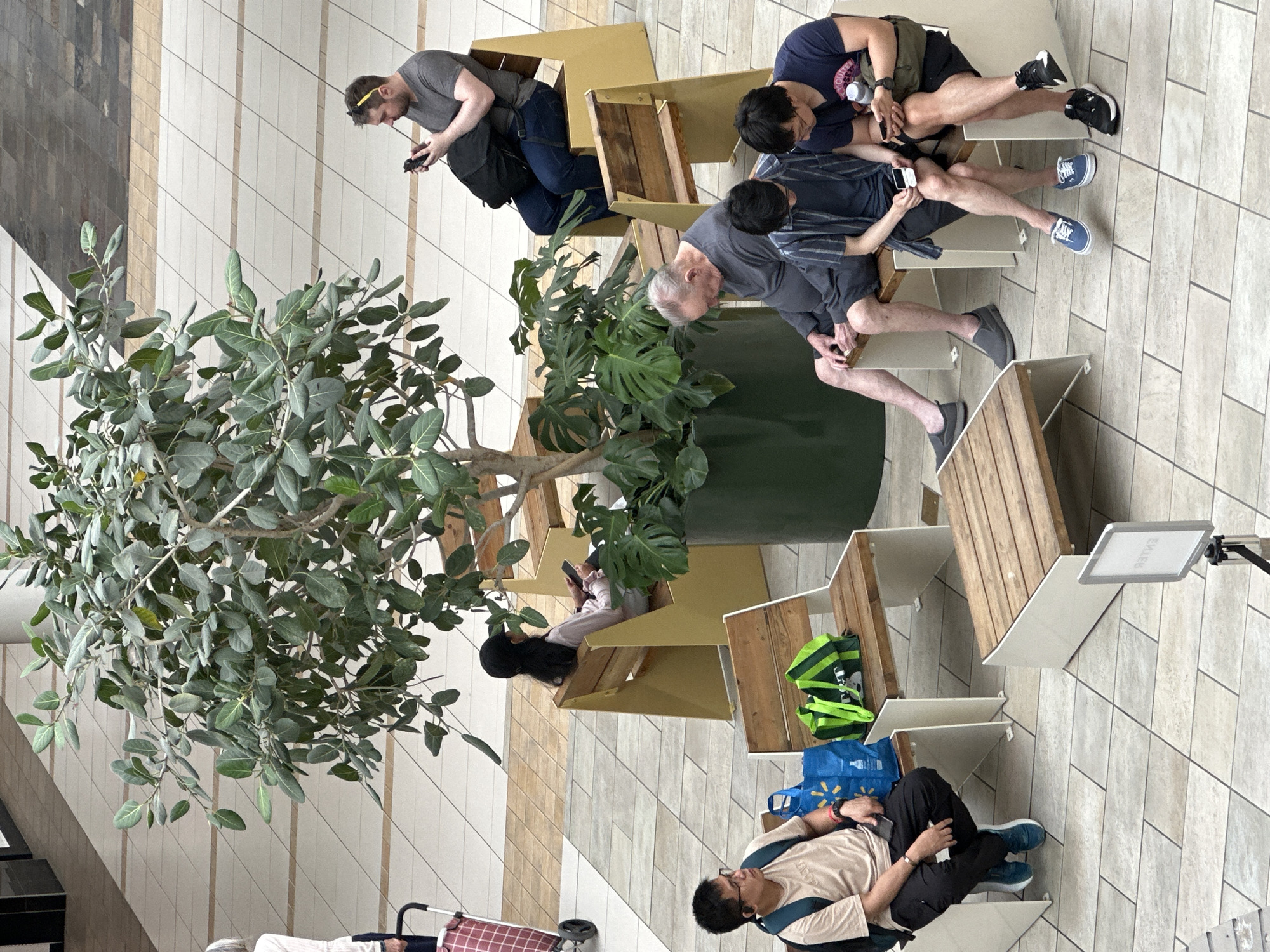 The image shows an overhead view of people sitting on benches in a bright, indoor public space, likely a mall or atrium in Burnaby, Canada. A large, potted tree with green leaves dominates the center of the frame. Several individuals are seated on modern, minimalist benches.
In the foreground, a young man wearing glasses and a light-colored t-shirt is seated on a white and wood bench, looking to his left. He has a backpack on the bench next to him, along with two shopping bags, one blue and one green.
To the right of the central tree, an older man in a grey shirt is seated, looking down. Next to him are two younger men. One is wearing a blue and grey striped shirt and dark shorts, looking down at a phone in his hand. The other, to his right, is wearing a dark blue t-shirt and black shorts, also looking at his phone, with a dark green bag slung across his chest.
Further back, to the left of the tree, a woman wearing a dark cap and a light-colored top is seated on a yellow and wood bench, looking at a phone in her hands.
In the background, a man wearing a grey t-shirt and jeans is seated on a yellow and wood bench, also looking at his phone. He has a backpack on the bench beside him. Another person, partially visible and wearing dark clothing, is near a shopping cart on the left side of the image.
The flooring is a tiled surface in a grid pattern with alternating light and dark beige tiles. The overall environment appears clean and well-lit. A small white sign on a stand is visible in the lower right foreground, its text unreadable from this angle.