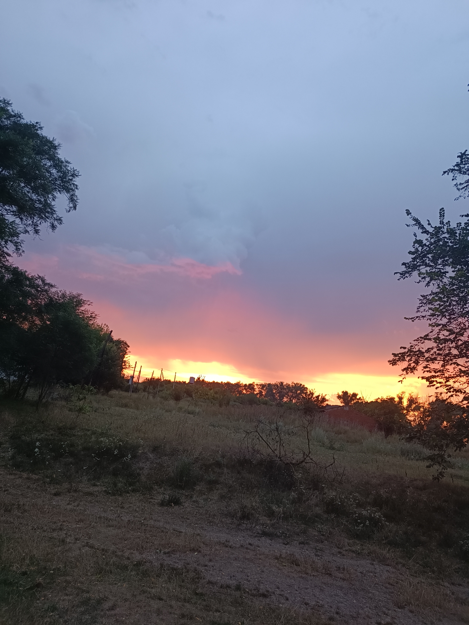 The image depicts a rural landscape at dusk, with a vibrant sunset casting warm hues across the sky. The sky transitions from a pale blue-grey at the top to shades of pink, orange, and yellow near the horizon. Silhouetted against the bright sky are the tops of trees and a faint line of structures, possibly buildings or a fence line. The foreground is a field of dry grass and weeds, with some scattered foliage and a dirt path. The overall impression is one of a peaceful, natural setting at the end of the day. No people or specific landmarks are identifiable that would definitively place the location in Dobrovillia, Ukraine.