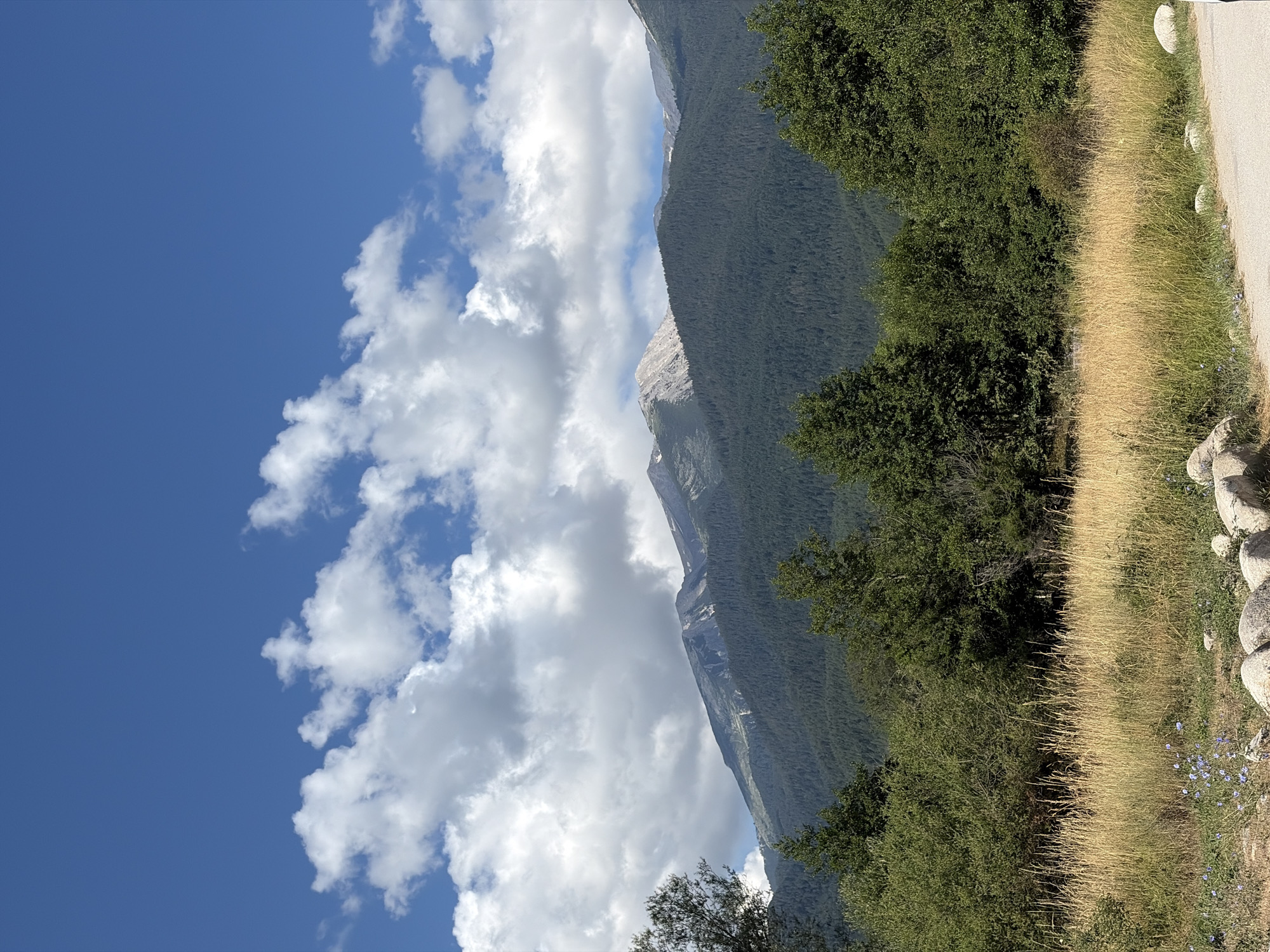 The image depicts a mountainous landscape under a clear blue sky with scattered white clouds. In the foreground, there is a patch of dry, golden grass with some scattered blue wildflowers and large gray stones. A paved path is visible on the right side of the image. Behind the grass, a dense forest of dark green evergreen trees covers the lower slopes of the mountains. The mountains themselves are tall and rugged, with some areas of exposed rock and patches of snow or ice near the peaks. The scene is serene and natural, suggesting an outdoor setting in a mountainous region. This scenery is characteristic of the Pirin Mountains, which are located near the city of Bansko, Bulgaria. Bansko is a popular tourist destination known for its ski resorts and hiking trails, offering views similar to the one captured in this image. No people or animals are visible in the image.