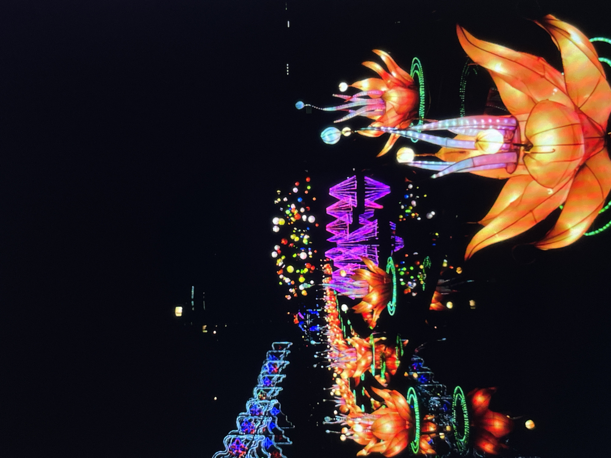 Here is a description of the image:
The image shows a night scene in an unknown city. In the foreground is a series of illuminated, decorative installations. The most prominent are large orange flower-shaped lanterns, arranged in a line and possibly reflected in water or a shiny surface, creating an echoing effect. These lanterns are accented with green lights. Further down the line, there are other illuminated structures including a series of purple triangular shapes and a series of blue structures resembling tiered platforms, both also reflected in the surface below. In the background, there are scattered lights and a few distant buildings. The scene is dark with the lights creating a vibrant contrast against the night sky.