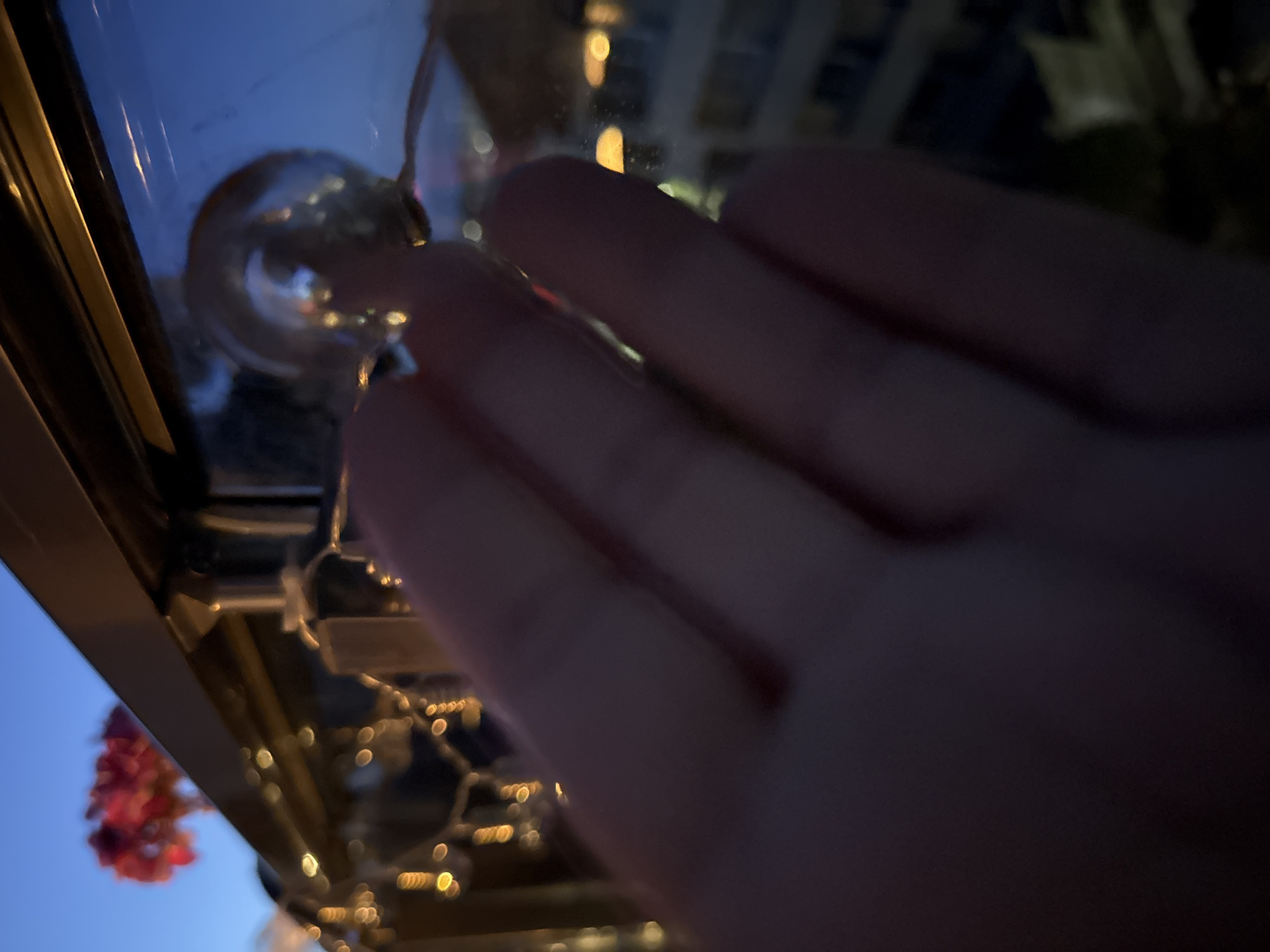An out-of-focus, close-up shot of a person's hand touching a glass surface. The background is dark and blurry, with some lights visible in the distance. The sky is a deep blue, suggesting it is either dusk or dawn. The hand appears to be placed on a window or railing, and the glass reflects some of the ambient light. There are some blurry red flowers in the upper left corner, and a string of small, yellow lights is also visible. The overall impression is one of a quiet, perhaps contemplative moment.