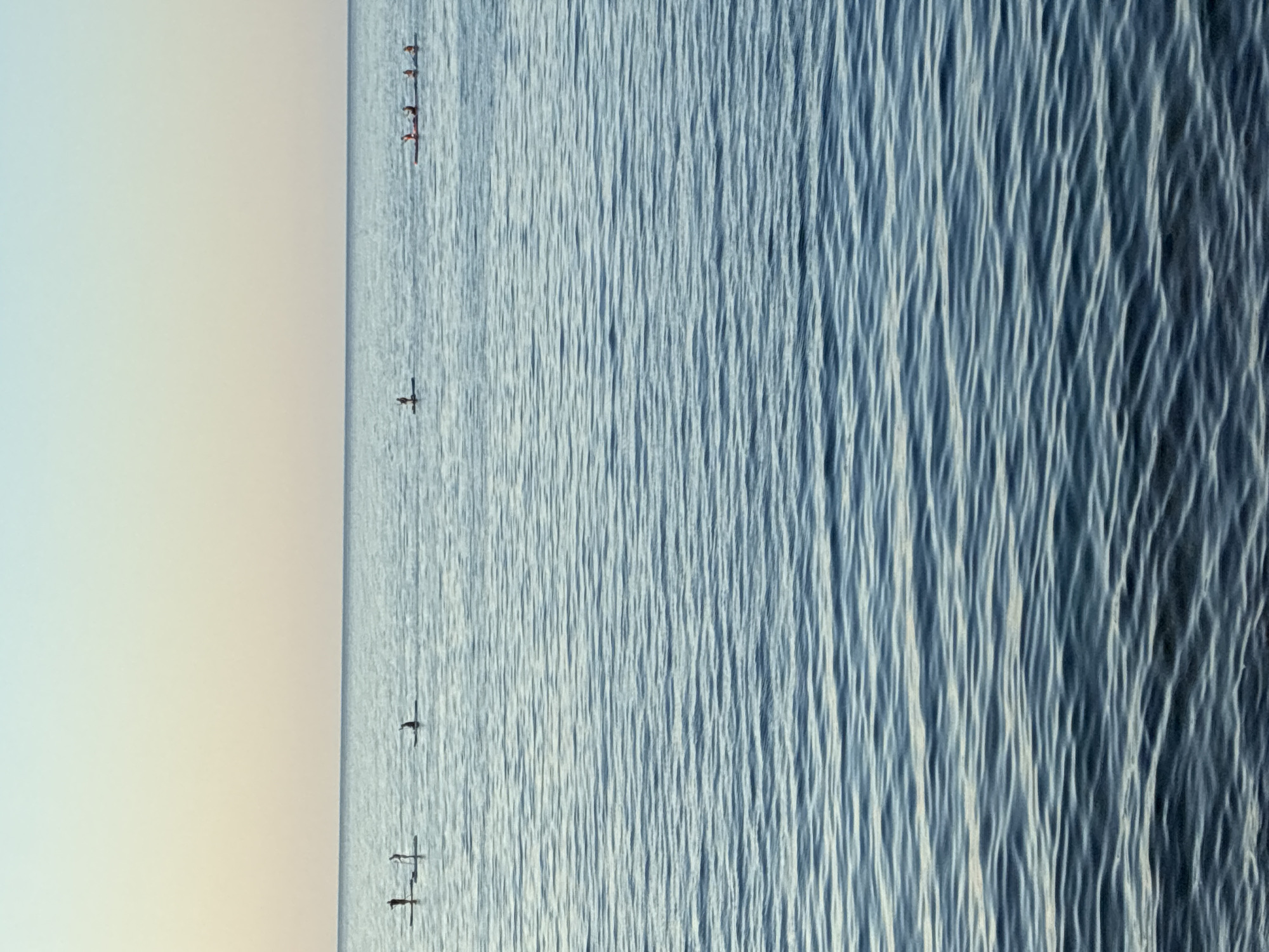 The image shows a wide shot of the sea with a clear sky transitioning from pale blue to a yellowish hue near the horizon. The water is calm with gentle ripples. In the distance, several people are engaged in water sports. On the left, there are three individuals on paddleboards, two standing and one seated. Further to the right, a group of four people are in a long, narrow boat, likely a kayak or canoe, paddling together. Another single person on a paddleboard is visible between these two groups. The horizon line is sharp and distinct, separating the sea from the sky. There are no buildings or land features visible in the frame, suggesting an open water location, possibly offshore from Alanya, Turkey, given the clear water and calm conditions often seen in the Mediterranean Sea during favorable weather. The overall impression is one of a peaceful, recreational scene at sea.