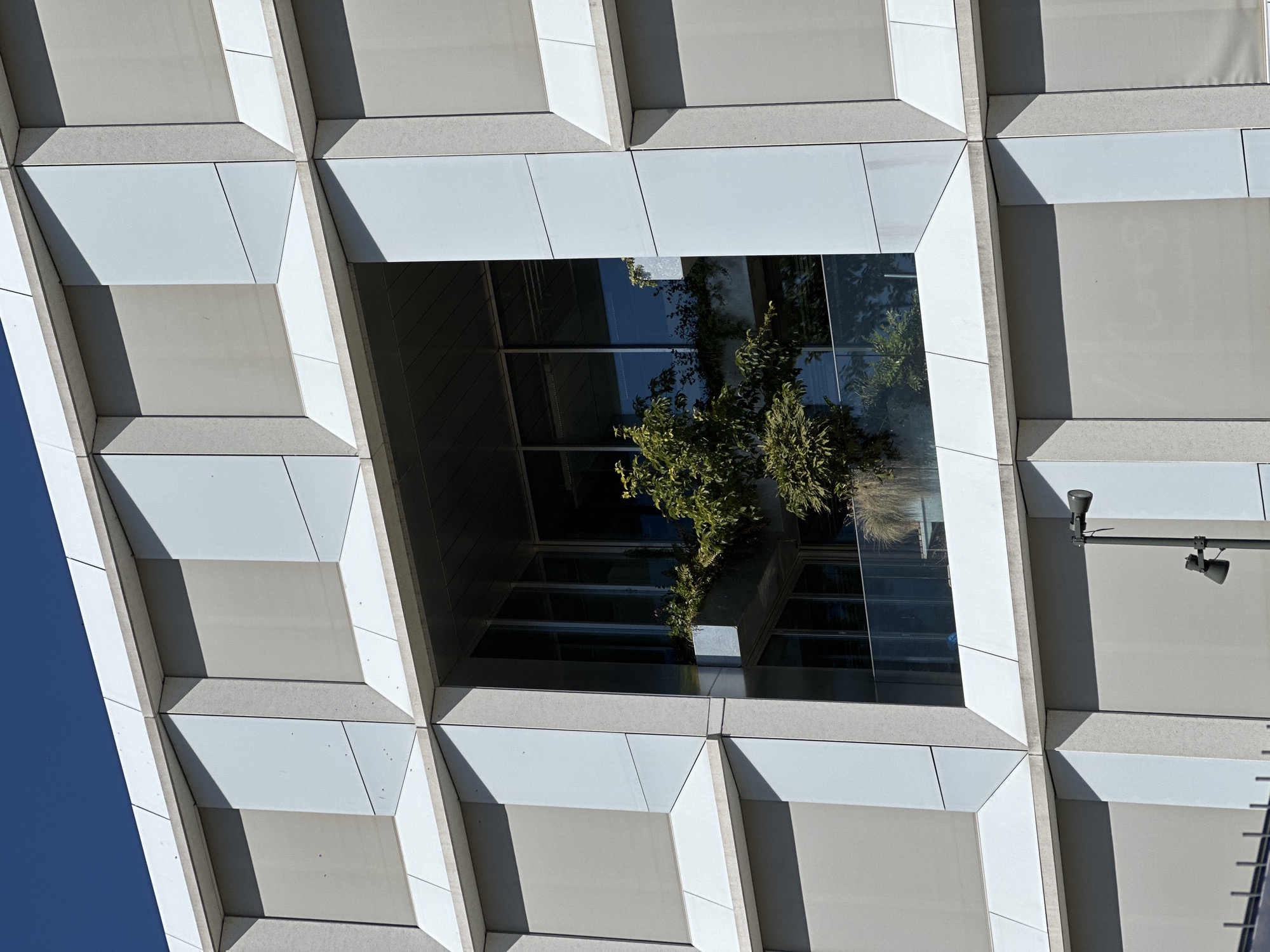 The image features a close-up, upward-angled view of a building facade, with a window revealing interior greenery. The facade has a grid-like pattern constructed from alternating light-grey concrete and white panels. The sunlight creates shadows within this grid structure. Inside the square window, there is vegetation, including shrubs and trees, partially obstructing the view of the interior, which consists of multiple glass windows. Mounted on the facade, just right of the window, there is a surveillance camera with a long arm, also in light gray. In the lower-left portion of the shot, a patch of clear blue sky is visible. The image is taken in the city of Amsterdam, Netherlands.