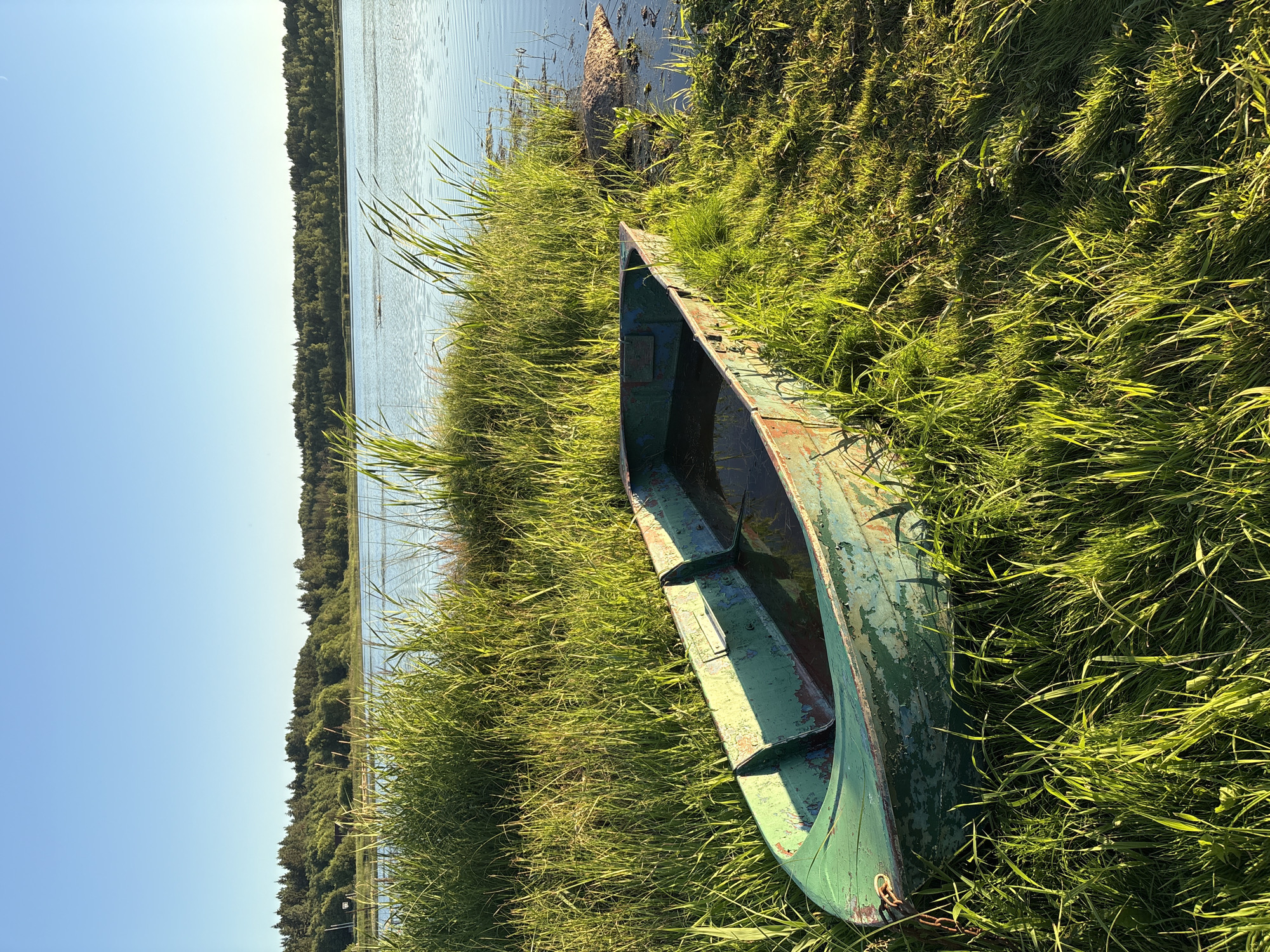 An old, weathered green rowboat rests on the grassy shore of a calm lake. The boat is partially filled with water and shows signs of age, with peeling paint and a rusted chain attached to its bow. Tall green grass surrounds the boat, and further in the background, a dense forest lines the opposite shore of the lake under a clear blue sky. The sun illuminates the scene, casting long shadows and highlighting the texture of the grass and the boat's surface. The location is the city of Chikino, Russia.