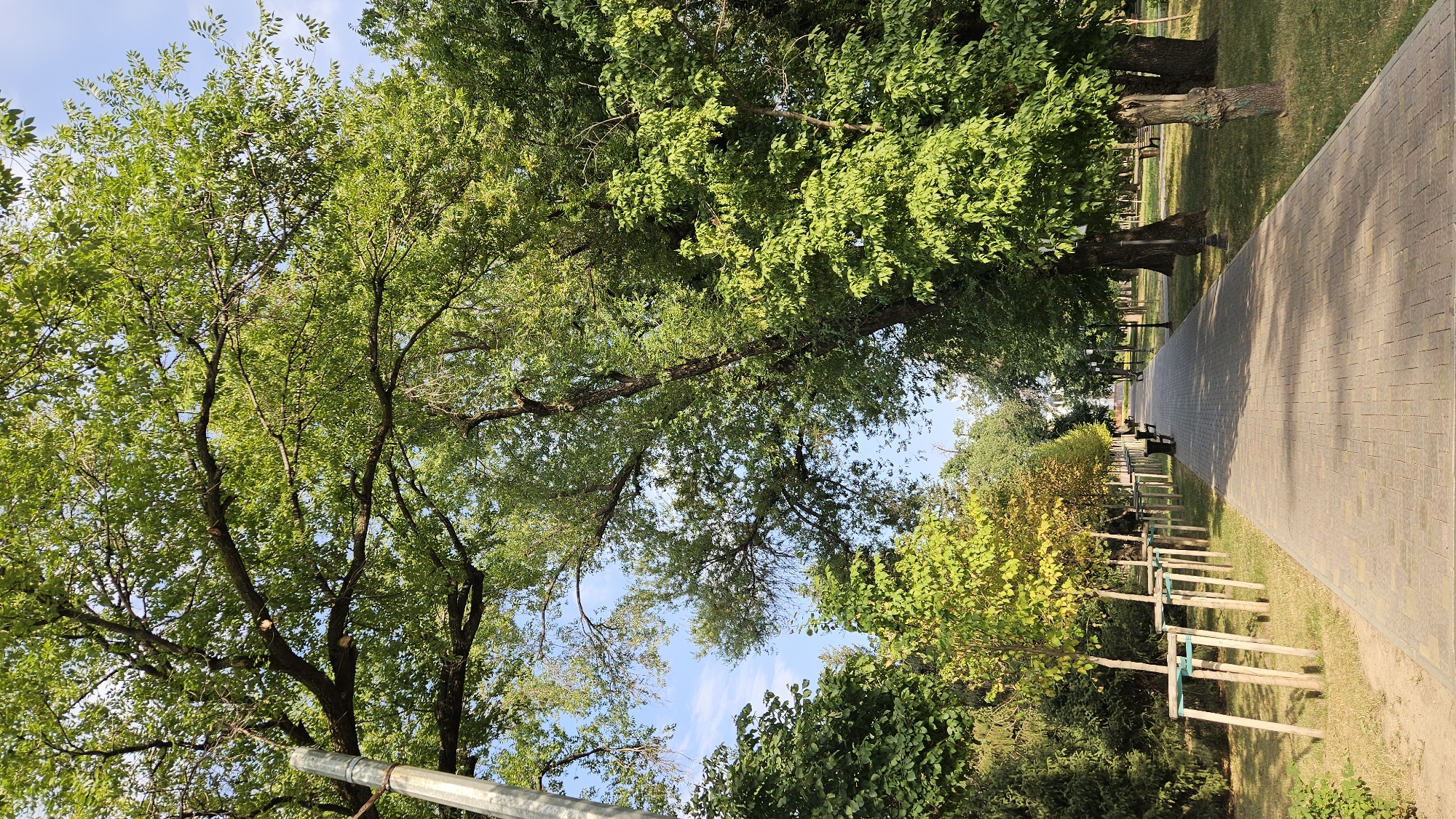 The image depicts a paved pathway in a park. The pathway is lined with trees on both sides, with some trees showing yellowing leaves, suggesting it might be autumn. There are benches and lampposts along the pathway. The sky is blue with some clouds. The scene appears to be a public park.
This image is located in Almaty, Kazakhstan. It is likely a section of the Central Park of Almaty, or another similar large urban park within the city. The presence of mature trees, paved walkways, benches, and lampposts are characteristic of such public spaces. The overall ambiance suggests a well-maintained recreational area.