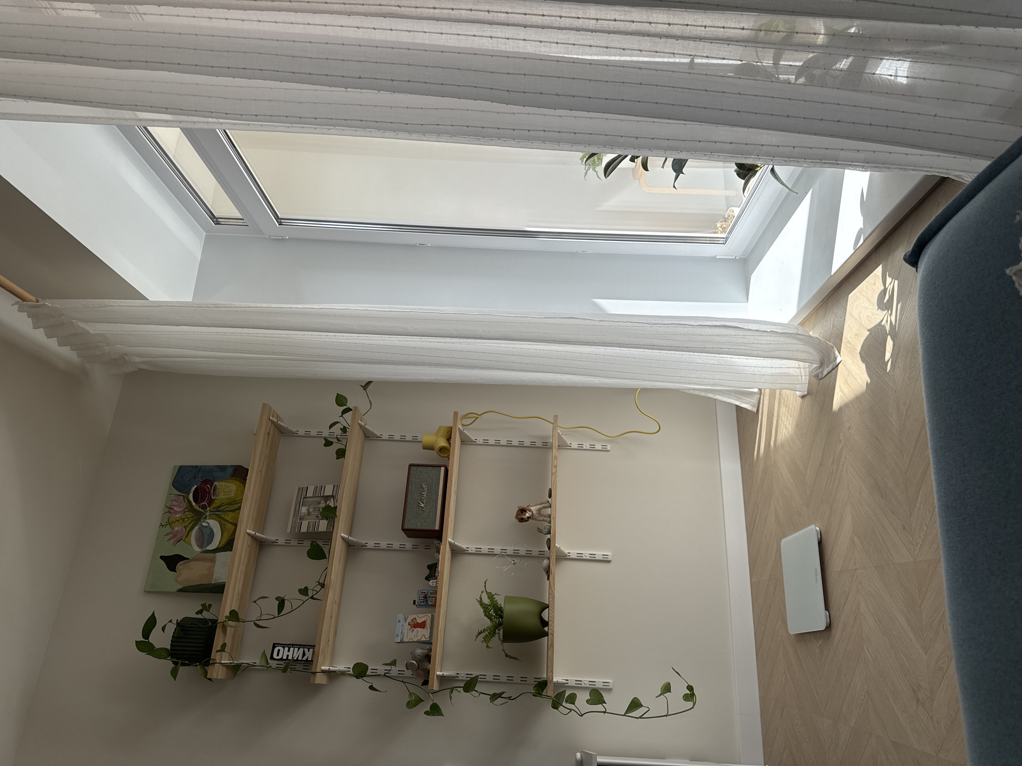 This media file captures a brightly lit indoor room, likely in Izhevsk, Russia, characterized by its contemporary design and abundant natural light. The primary focus is a large, white-framed skylight or roof window positioned towards the upper part of the frame, allowing clear daylight to illuminate the space. White, pleated curtains or blinds are partially drawn across the skylight, softening the light.
Below the skylight, a light-colored wooden shelving unit with white metal brackets is mounted on a plain wall. This unit is decorated with various items and vibrant green vining plants that cascade down the shelves. Visible objects on the shelves include a colorful, abstract painting on the left, a framed picture, a yellow decorative object (possibly a lamp or radio), a rectangular Marshall speaker, small figurines, and a potted fern. A book or box on the lower shelf clearly displays the Cyrillic text "КИНО" (KINO). The Marshall speaker also has its brand name "Marshall" visible.
The floor is covered with light-toned parquet flooring laid in a herringbone pattern. Direct sunlight streams through the skylight, casting distinct shadows on the floor, suggesting a clear, sunny daytime. A white, rectangular smart scale, bearing the brand name "PICOOC" is situated on the floor. Part of a blue upholstered furniture piece, likely a sofa or armchair, is visible in the lower right corner, completing the cozy indoor setting. No people are visible, and the scene depicts a static interior.