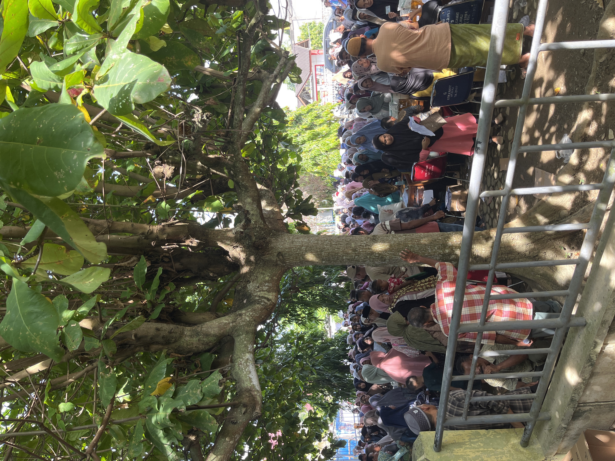 This image depicts a crowded outdoor scene in the city of Pulodolang, Indonesia, under the shade of a large tree. A significant number of people, primarily women dressed in hijabs and modest clothing, are gathered. Some individuals appear to be queuing or waiting, while others are engaged in conversations or observing. Several tables and chairs are visible in the background, some with numbers or labels, suggesting an organized event or distribution. The ground is covered with dirt and scattered leaves. A metal railing runs along the foreground, separating the viewer from the assembled crowd. The overall atmosphere appears to be one of community gathering or a public service event.