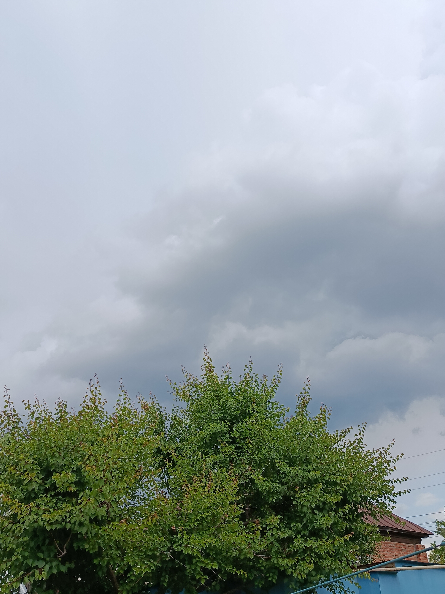 The image captures an overcast sky with dramatic grey clouds filling the upper portion. Below the sky, the dense green foliage of trees dominates the lower half of the frame. The leaves are a vibrant green, suggesting a warm season. Peeking from behind the trees on the right side is the roof of a brick building, indicative of a residential area. A blue fence runs along the bottom of the image, partially obscured by the trees. The scene appears to be an outdoor setting, possibly a backyard or a park in the city of Marx, Russia, given the cloudy weather typical of the region. No people or animals are visible in the frame.