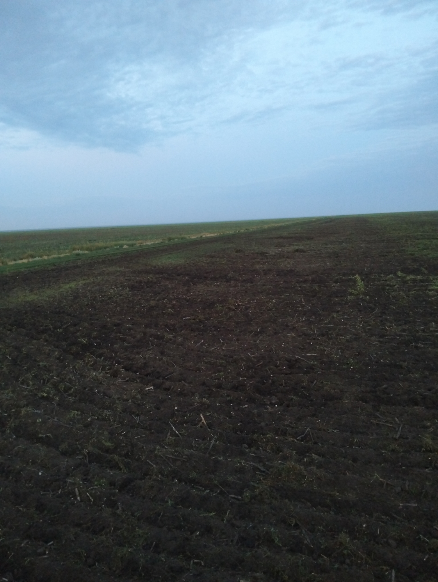 The image shows a vast, dark, tilled field under a pale, cloudy sky. The foreground is dominated by the freshly plowed earth, showing furrows and clods of dark soil mixed with remnants of vegetation. In the middle ground, the field transitions to a strip of green vegetation, possibly a field of crops or unplowed land, running horizontally across the image. Beyond this, the horizon is a soft, indistinct line where the earth meets the sky. The sky is a muted blue with streaks of white clouds, suggesting it may be early morning or late evening. There are no people, animals, or structures visible in the image. The scene appears to be a rural agricultural landscape. The location is identified as Titov, Kazakhstan.