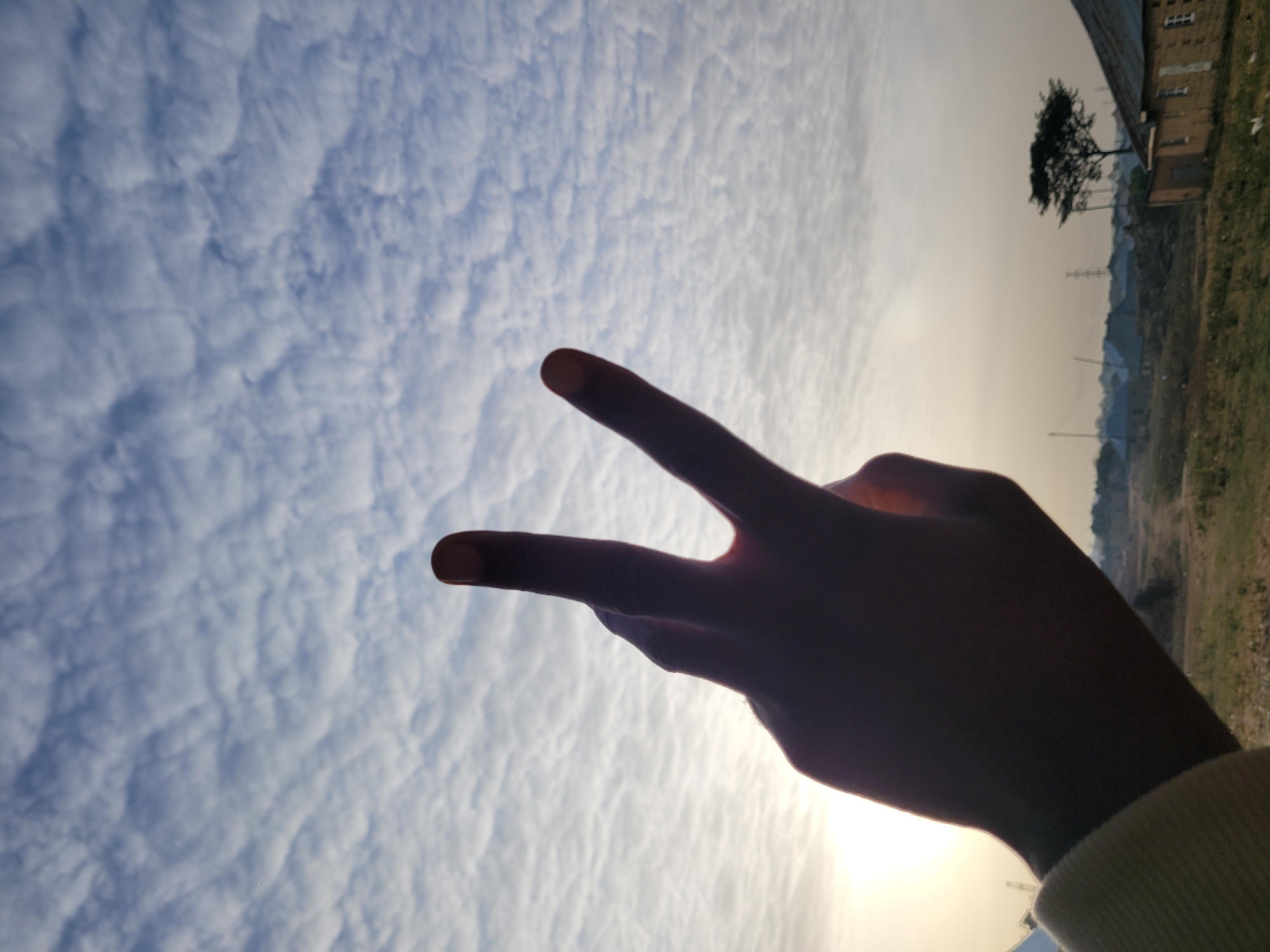 An upward-facing, silhouetted human hand, making a "peace" or "V" sign, dominates the foreground of this photograph, reaching towards the sky. The hand is positioned against a bright, hazy sun, creating a strong backlighting effect that highlights its outline and obscures details. The sky, which occupies most of the frame, is filled with widespread, fluffy, white and grey altocumulus or stratocumulus clouds, creating a textured pattern across the blue expanse.
In the distant background, along the horizon on the right side of the image, a sparse landscape is visible under the soft light of what appears to be either sunrise or sunset. A solitary, dark-leafed tree stands out against the muted sky, alongside indistinct structures that resemble buildings or industrial facilities. Power lines and open, grassy ground can also be discerned, suggesting a rural or semi-urban environment in Barakin Akawo, Nigeria. The overall atmosphere is serene, with the peace sign potentially conveying a sense of calm or hope against the natural backdrop. No text is visible in the image.