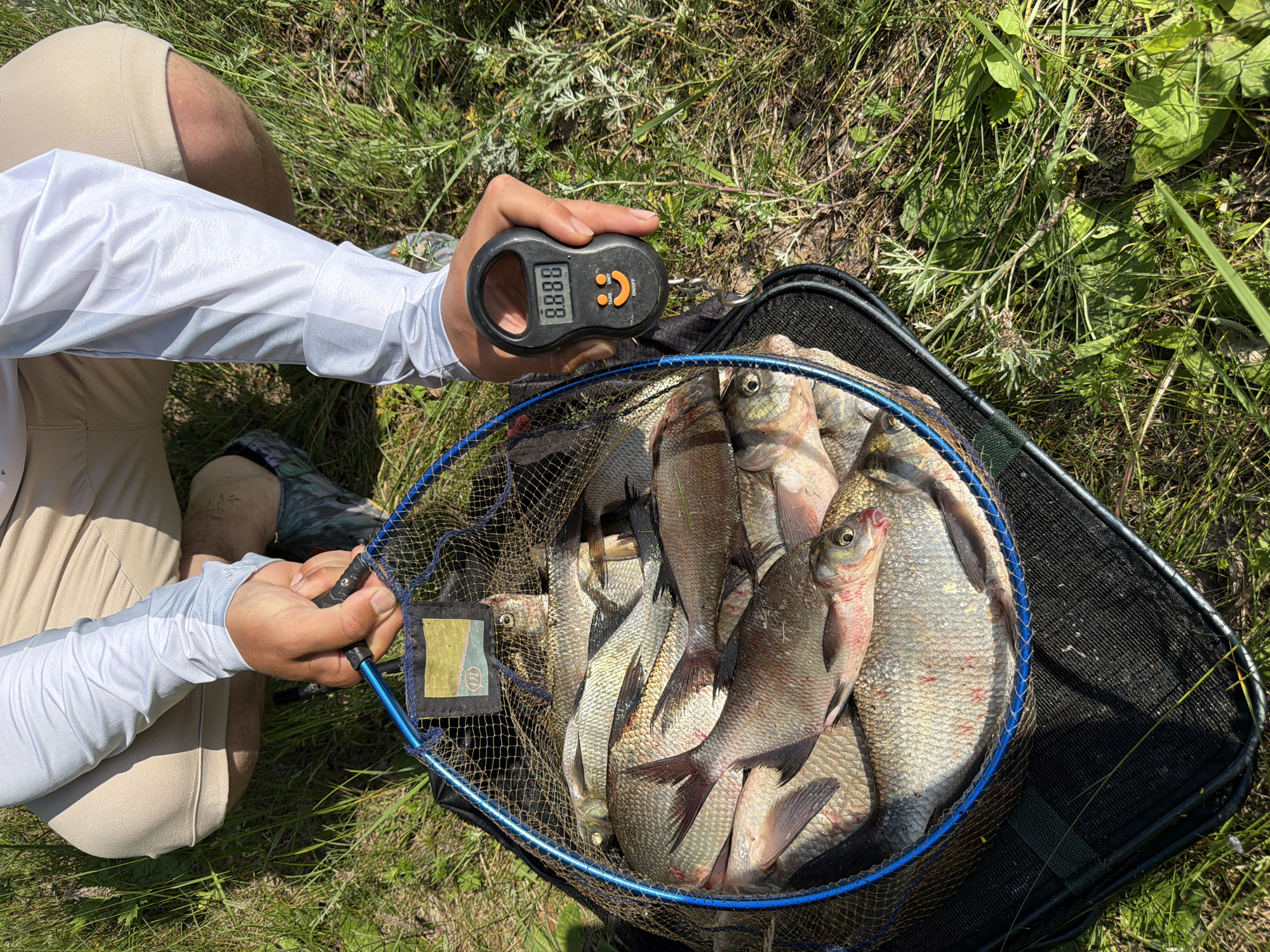 An overhead, outdoor, close-up shot shows a person, likely male given the attire and physique, wearing a light-colored long-sleeved fishing shirt and tan shorts, crouching on grassy terrain. The individual is holding a fishing net filled with numerous silver-scaled fish, predominantly bream. In their right hand, the person is also holding a black digital fish scale, displaying "8.888" with a smiley face icon. The environment suggests a natural setting, possibly near a body of water, given the fishing context. There is no visible indication of Chaikovsky, Russia, in the image.