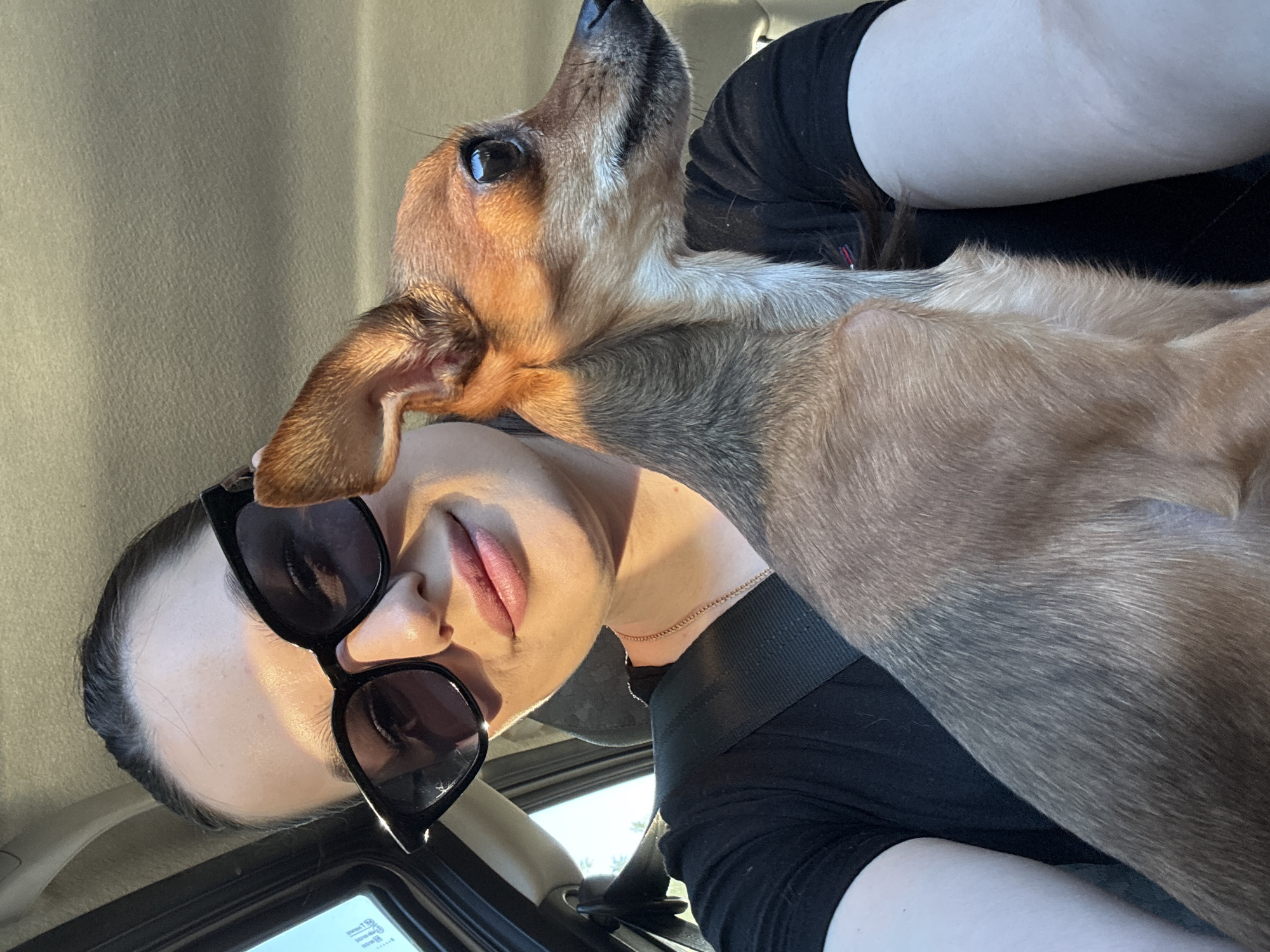 A selfie taken inside a vehicle shows a woman with sunglasses and a brown and grey dog. The woman is wearing a black shirt and a seatbelt. The dog is partially lying on her. The background shows a glimpse of the outside environment. The location is unknown and there are no indications it is Chaykovsky, Russia.