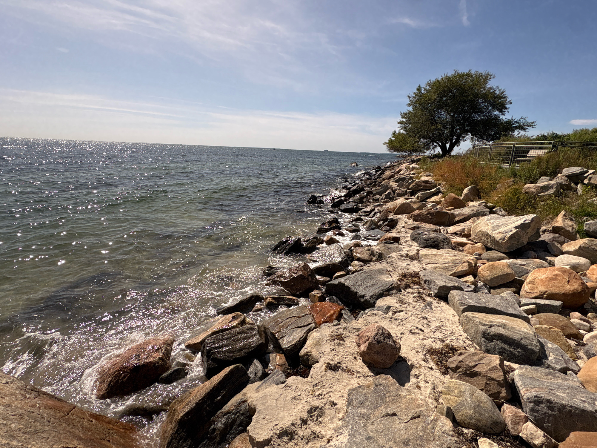 An eye-level, medium shot captures a sun-drenched, rocky coastline in Waterford, Connecticut, on a clear day. The foreground is dominated by a jumble of large, grey, brown, and reddish-brown rocks, some wet from the incoming tide, scattered across a sandy shoreline. Small patches of dried seaweed are visible between the rocks.
The water's edge features gentle waves lapping against the stones, creating white foam and reflecting the bright sunlight. The sea, a deep blue-grey, stretches to the horizon, sparkling with countless points of light. A few faint, distant boats are visible on the water.
To the right, a medium-sized, leafy green tree stands prominently on a grassy embankment dotted with brown and yellow foliage. Behind the tree, a silver metal railing and a bench, part of a viewing platform or walkway, are partially visible. The sky above is a pale blue, streaked with thin, wispy white clouds. The overall impression is one of a peaceful, natural coastal scene.