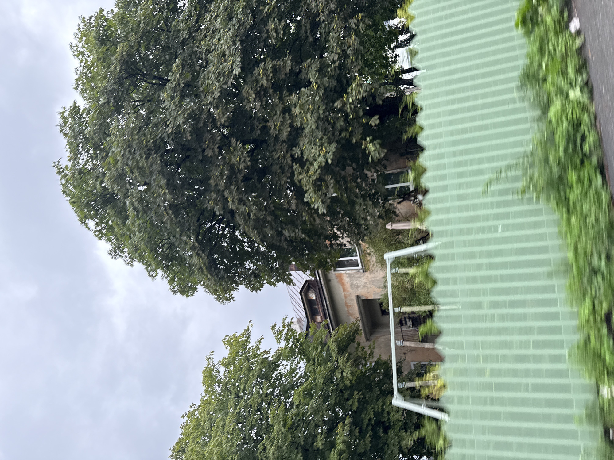 A low-angle, full-shot photograph captures a scene featuring a light green, ridged fence in the foreground, with lush green vegetation growing along its base and blurred motion suggesting the photo was taken from a moving vehicle. Behind the fence, a slightly weathered, multi-story building with a dark metal roof and visible dormer windows is partially obscured by large, mature trees with dense green foliage. A white metal swing set is visible in front of the building, its structure somewhat faded and the swings appearing to be missing. The sky above is overcast with grey clouds. The location is described as Tallinn, Estonia.